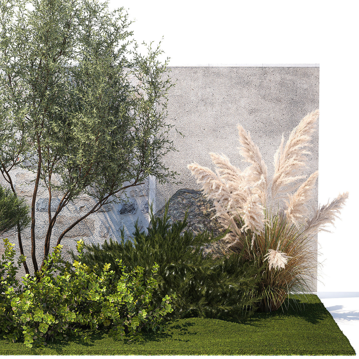 Garden Juniper Pampas Pine Topiary Berberis 1402 3D model_11