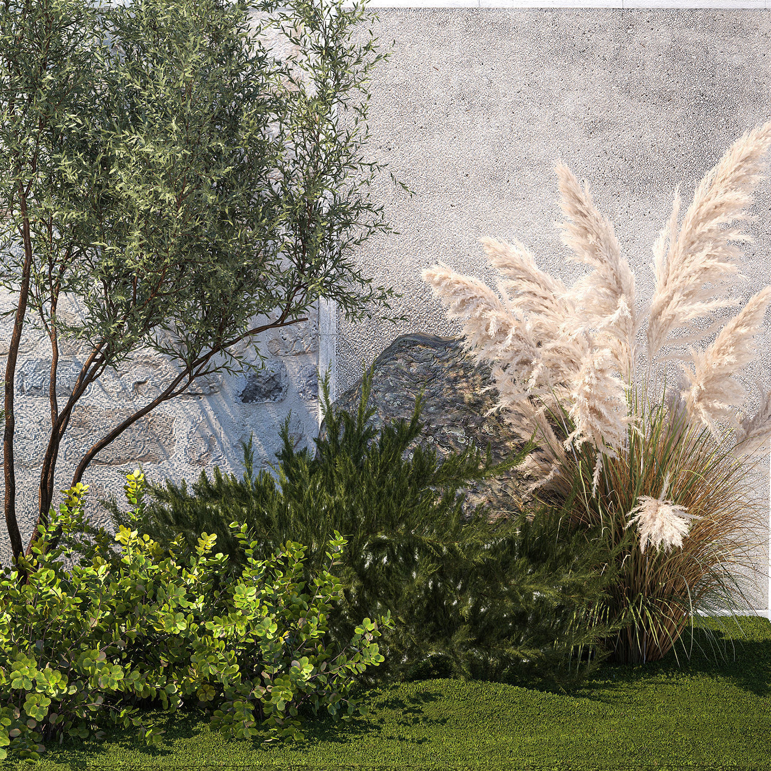 Garden Juniper Pampas Pine Topiary Berberis 1402 3D model_13