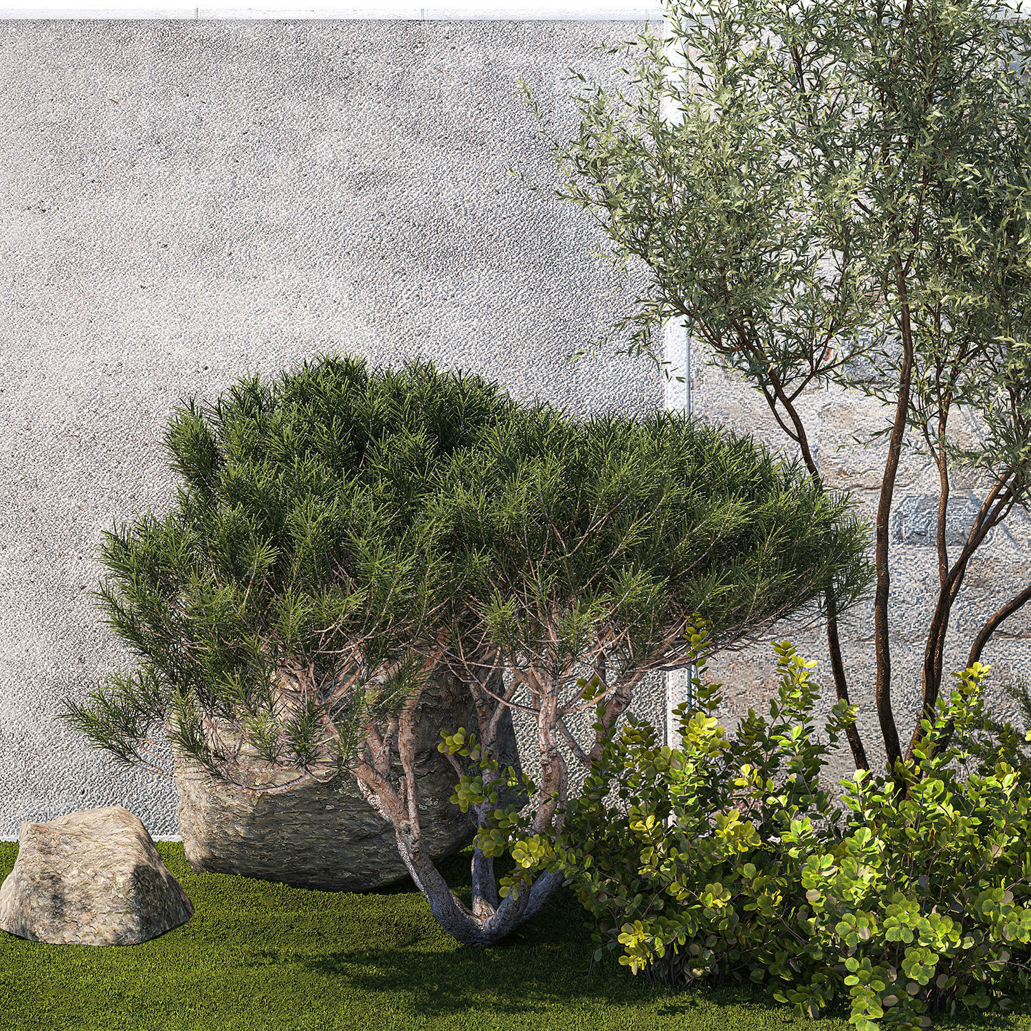 Garden Juniper Pampas Pine Topiary Berberis 1402 3D model_12