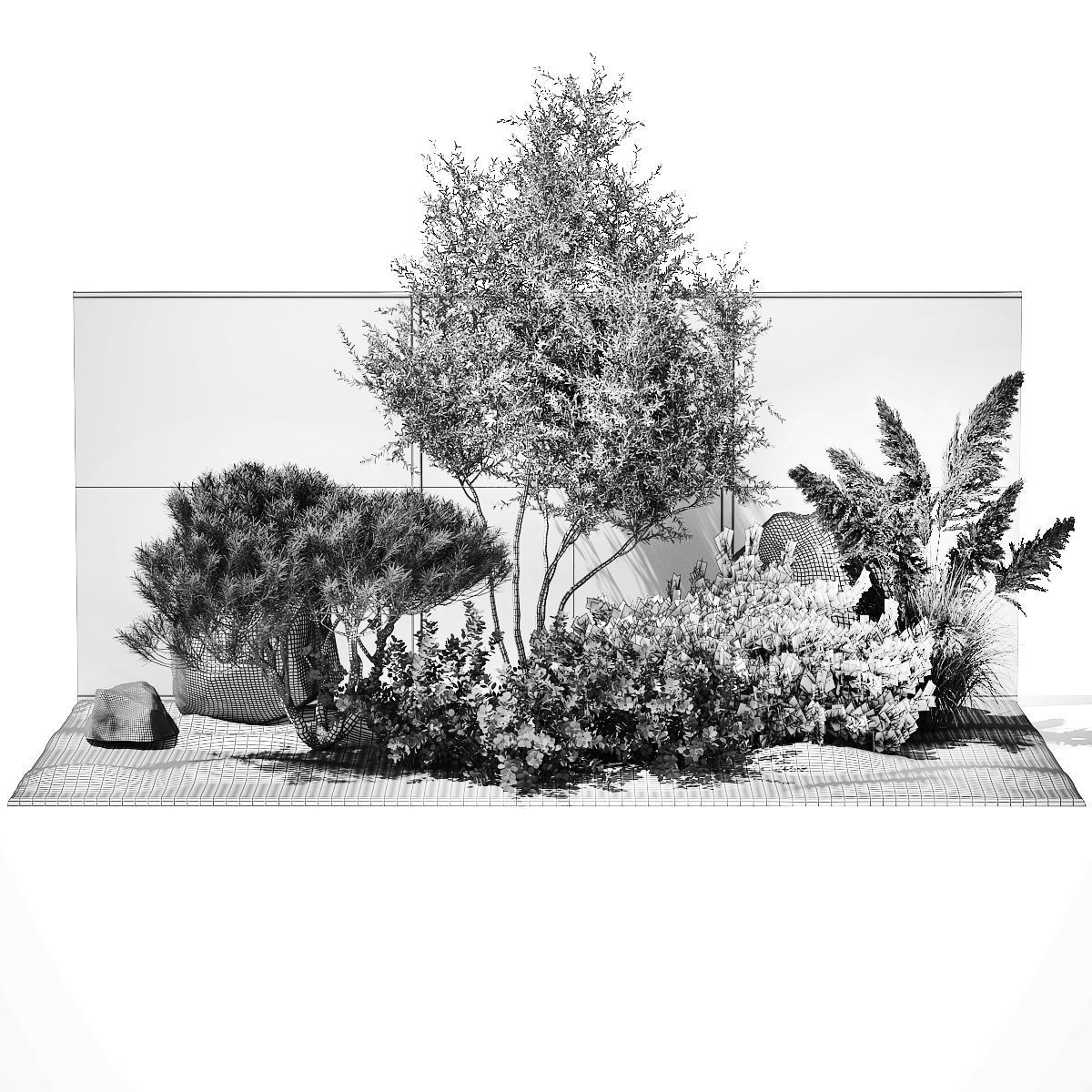 Garden Juniper Pampas Pine Topiary Berberis 1402 3D model_14