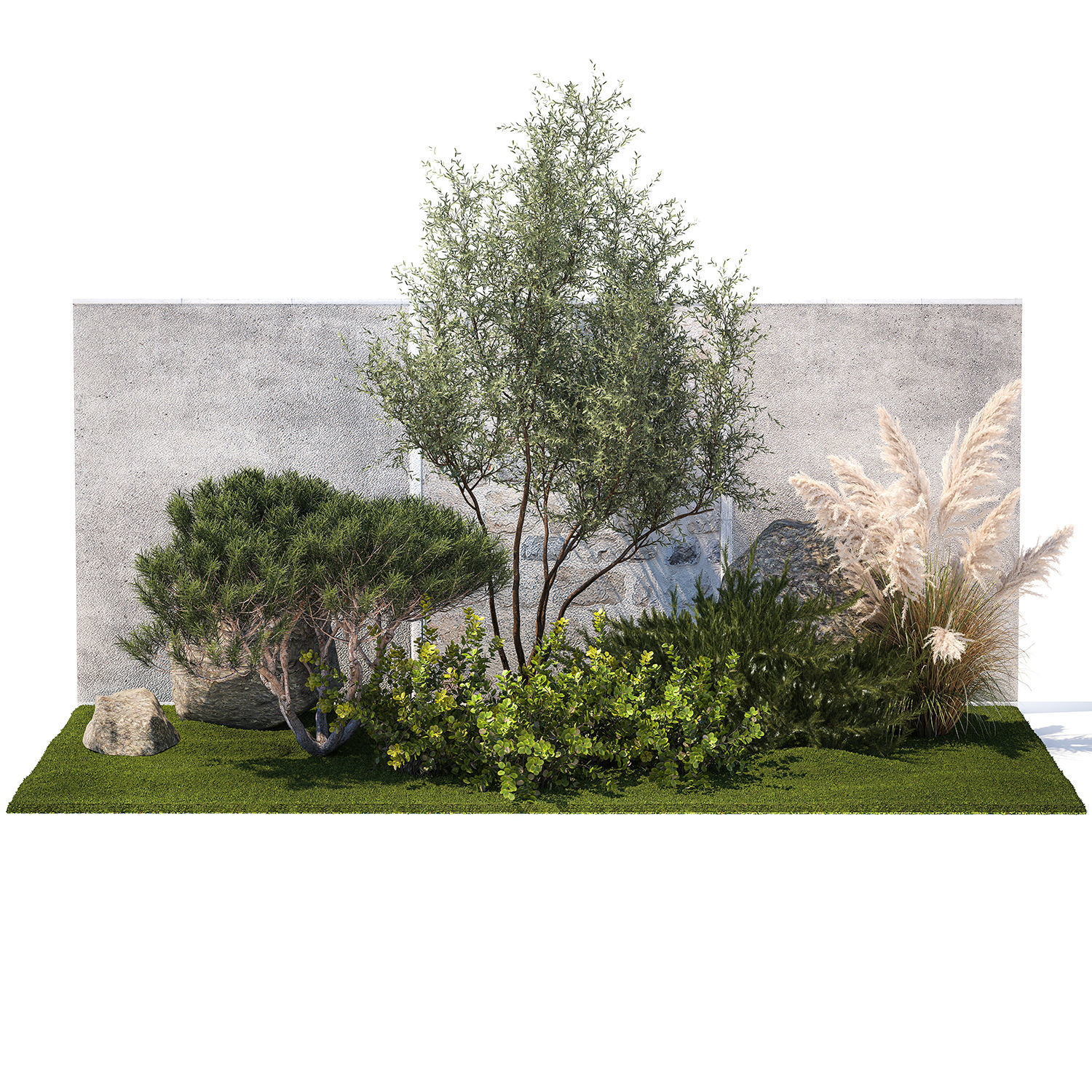 Garden Juniper Pampas Pine Topiary Berberis 1402 3D model_8