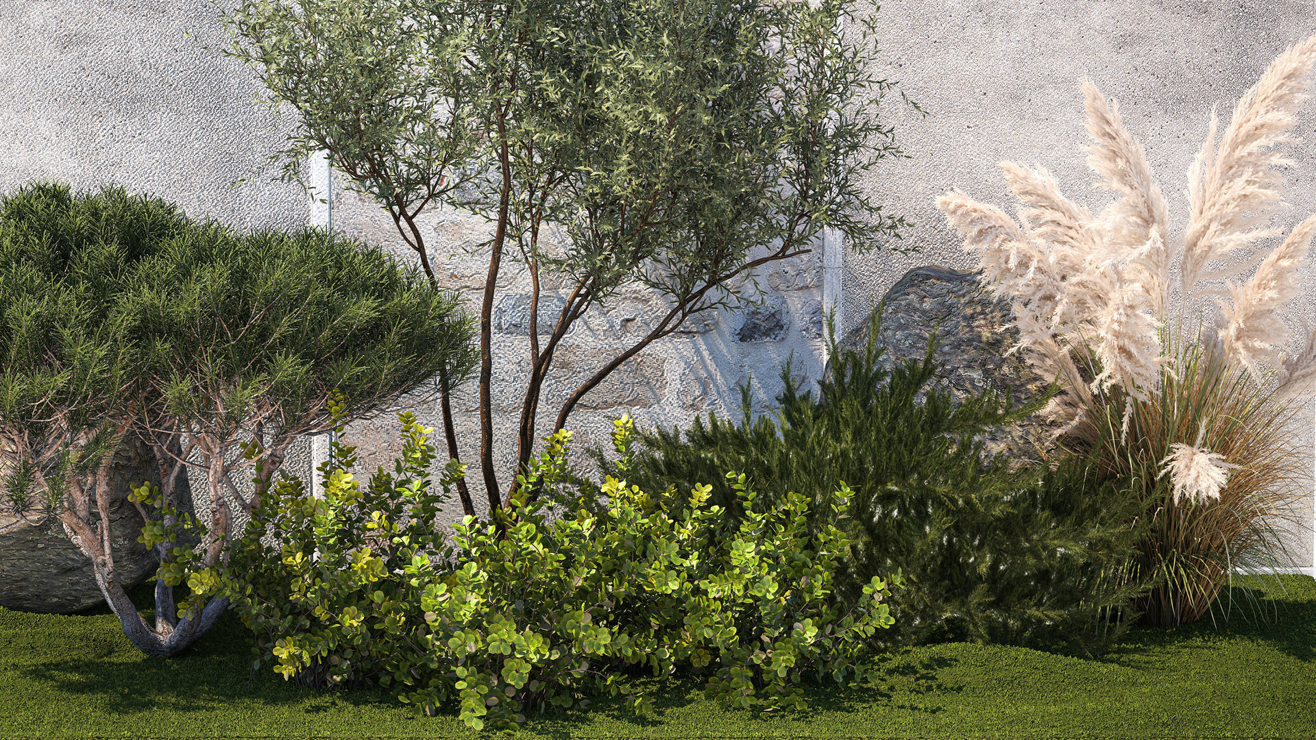 Garden Juniper Pampas Pine Topiary Berberis 1402 3D model_2