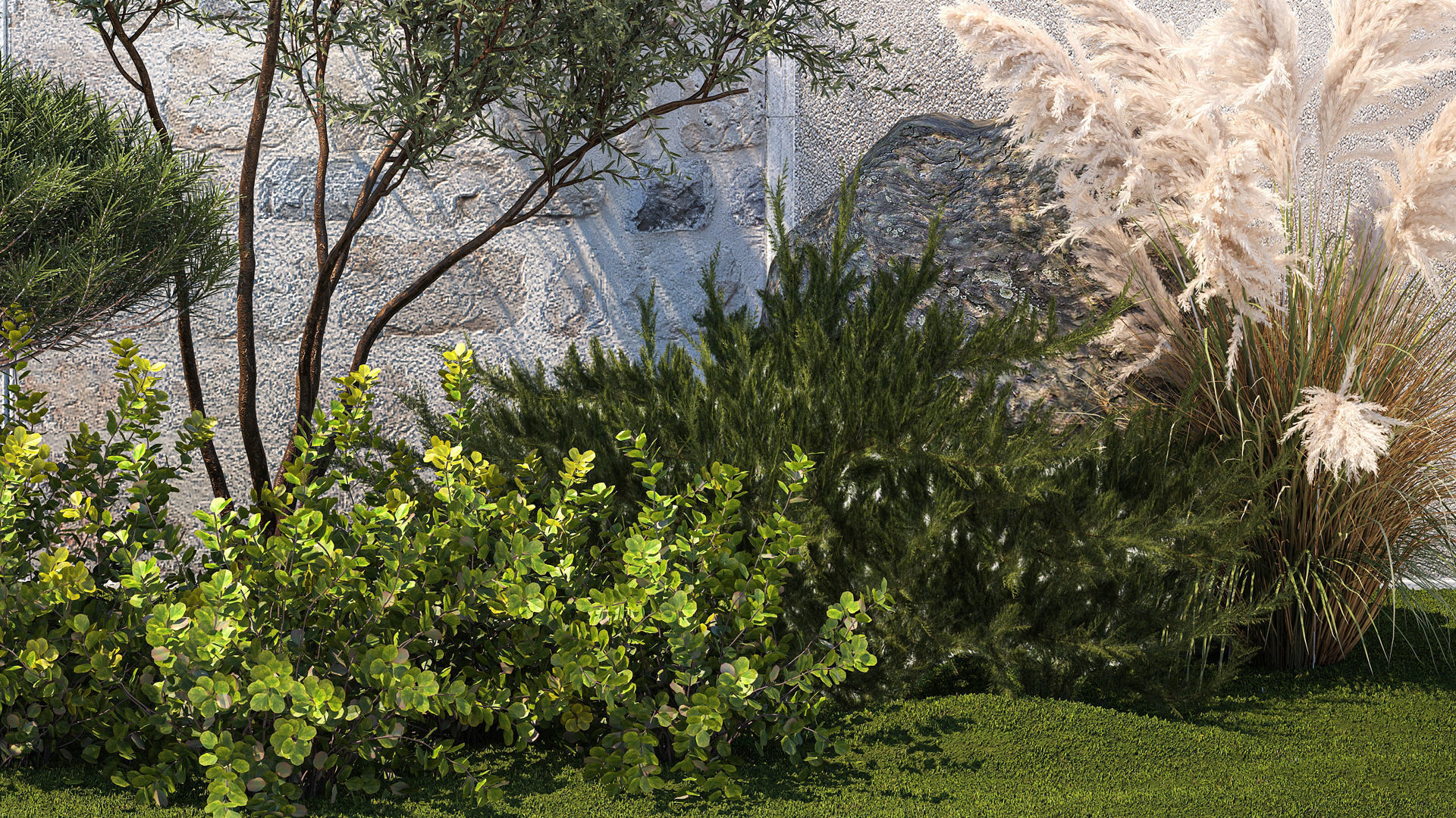 Garden Juniper Pampas Pine Topiary Berberis 1402 3D model_3