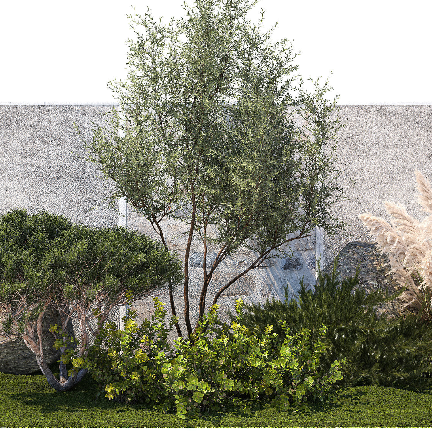 Garden Juniper Pampas Pine Topiary Berberis 1402 3D model_10