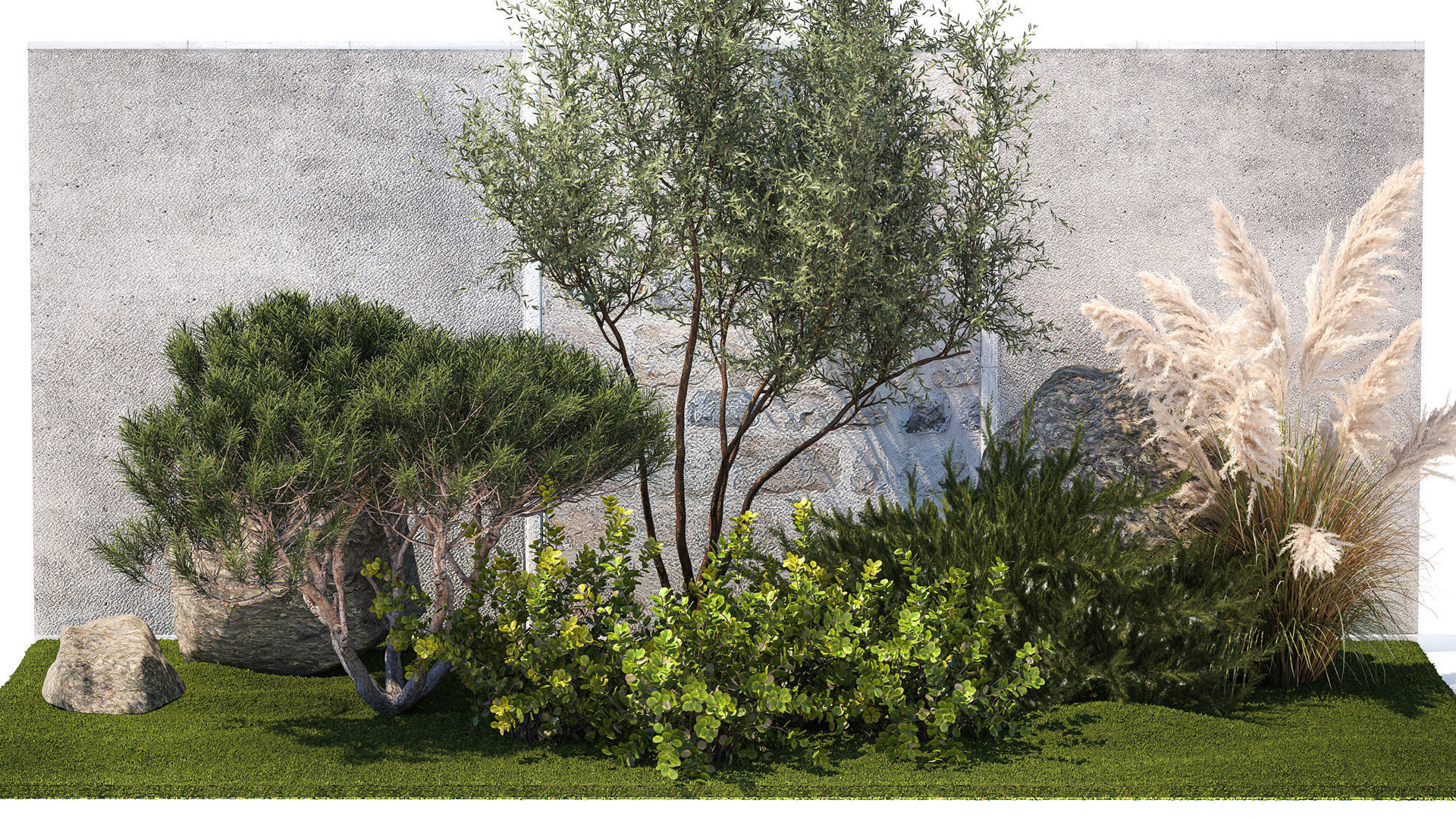 Garden Juniper Pampas Pine Topiary Berberis 1402 3D model_1