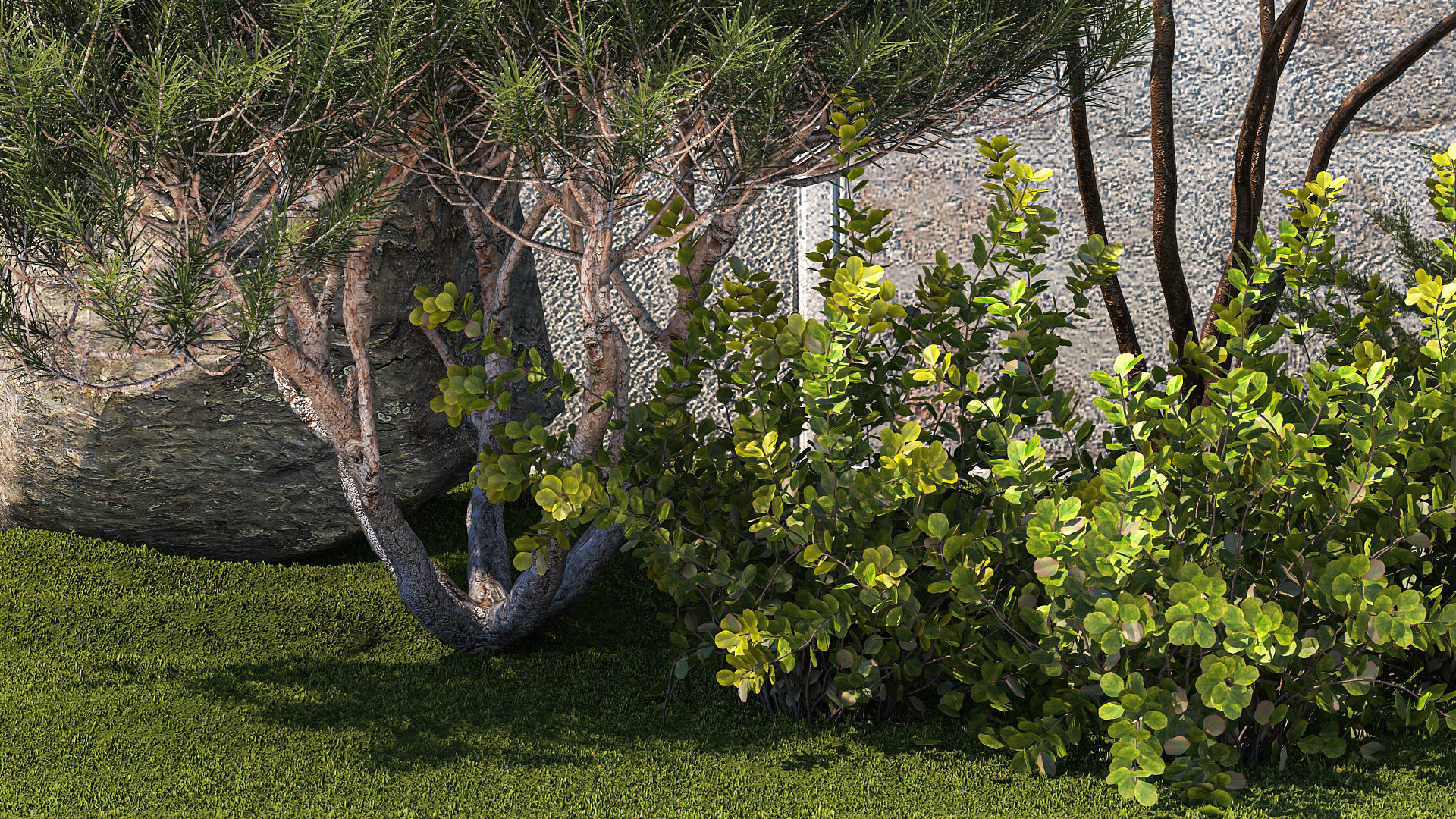 Garden Juniper Pampas Pine Topiary Berberis 1402 3D model_4