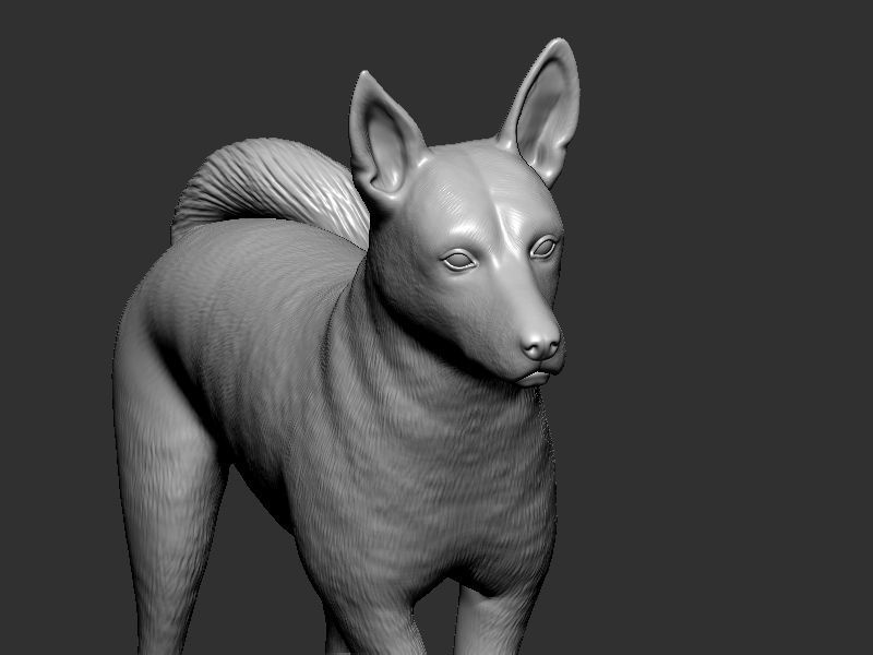 Dog Pose  3D print model_13