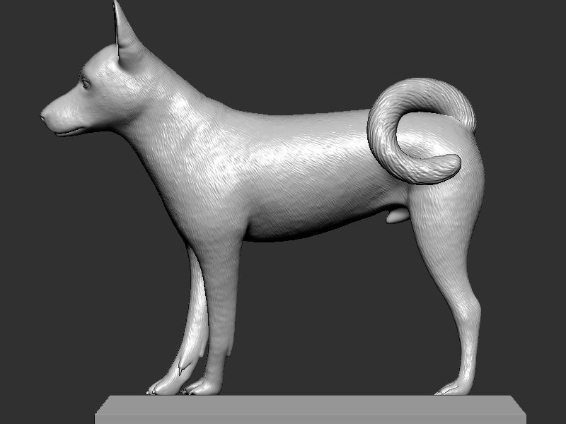 Dog Pose  3D print model_4