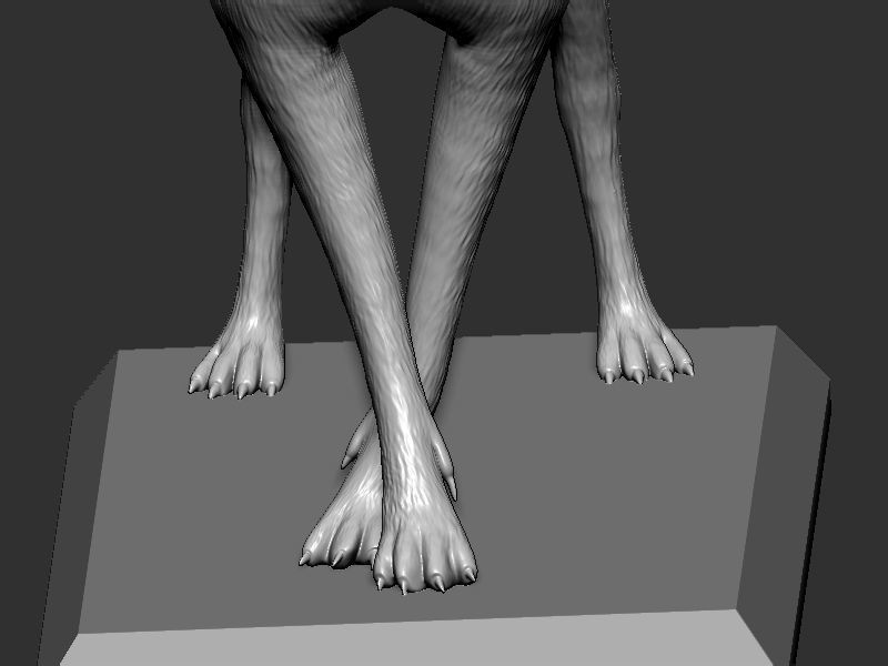 Dog Pose  3D print model_9