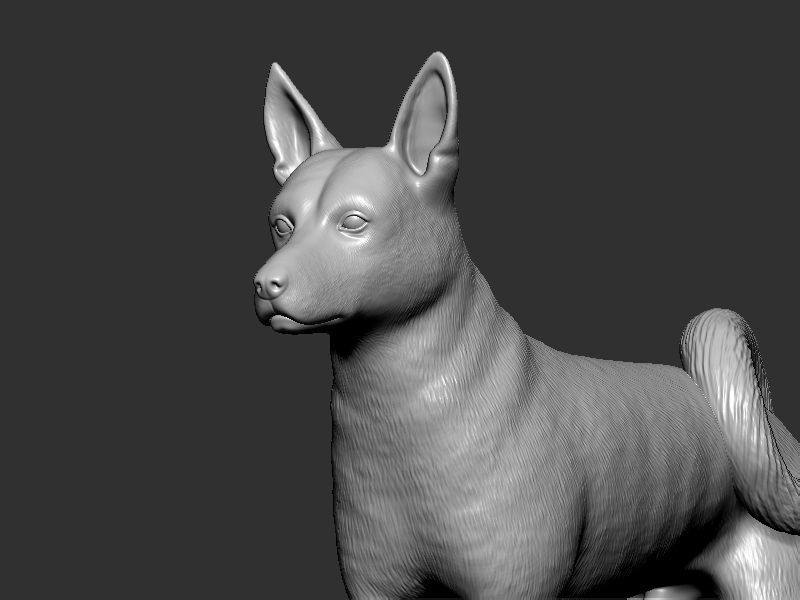 Dog Pose  3D print model_10