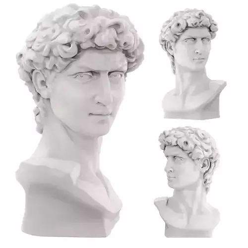 Bust of David Sculpture 3D model