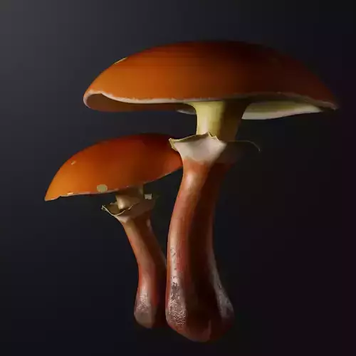 Oiler mushroom 3D model