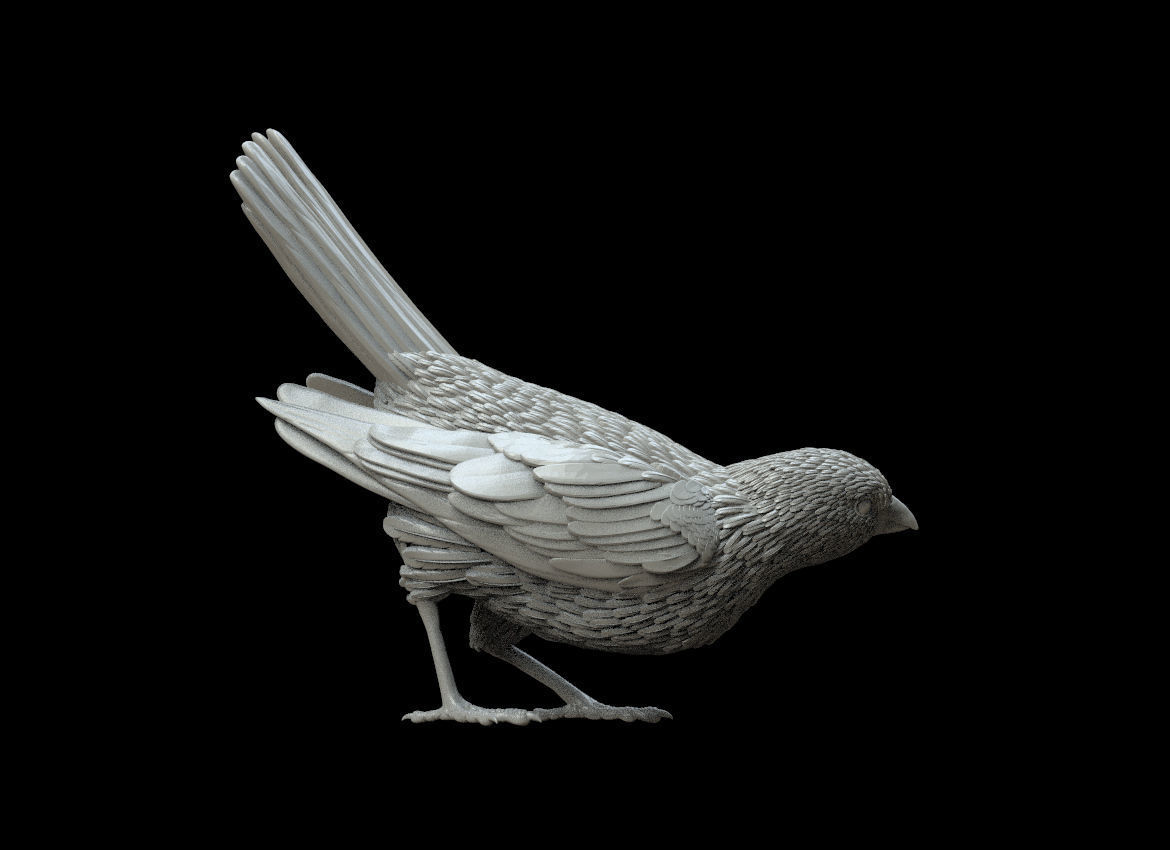 bird sculpture 3D print model_1