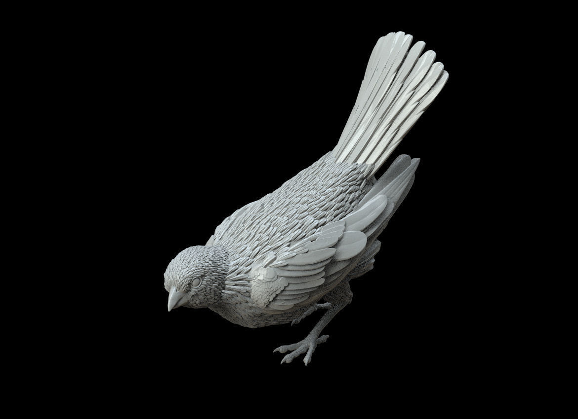 bird sculpture 3D print model_5