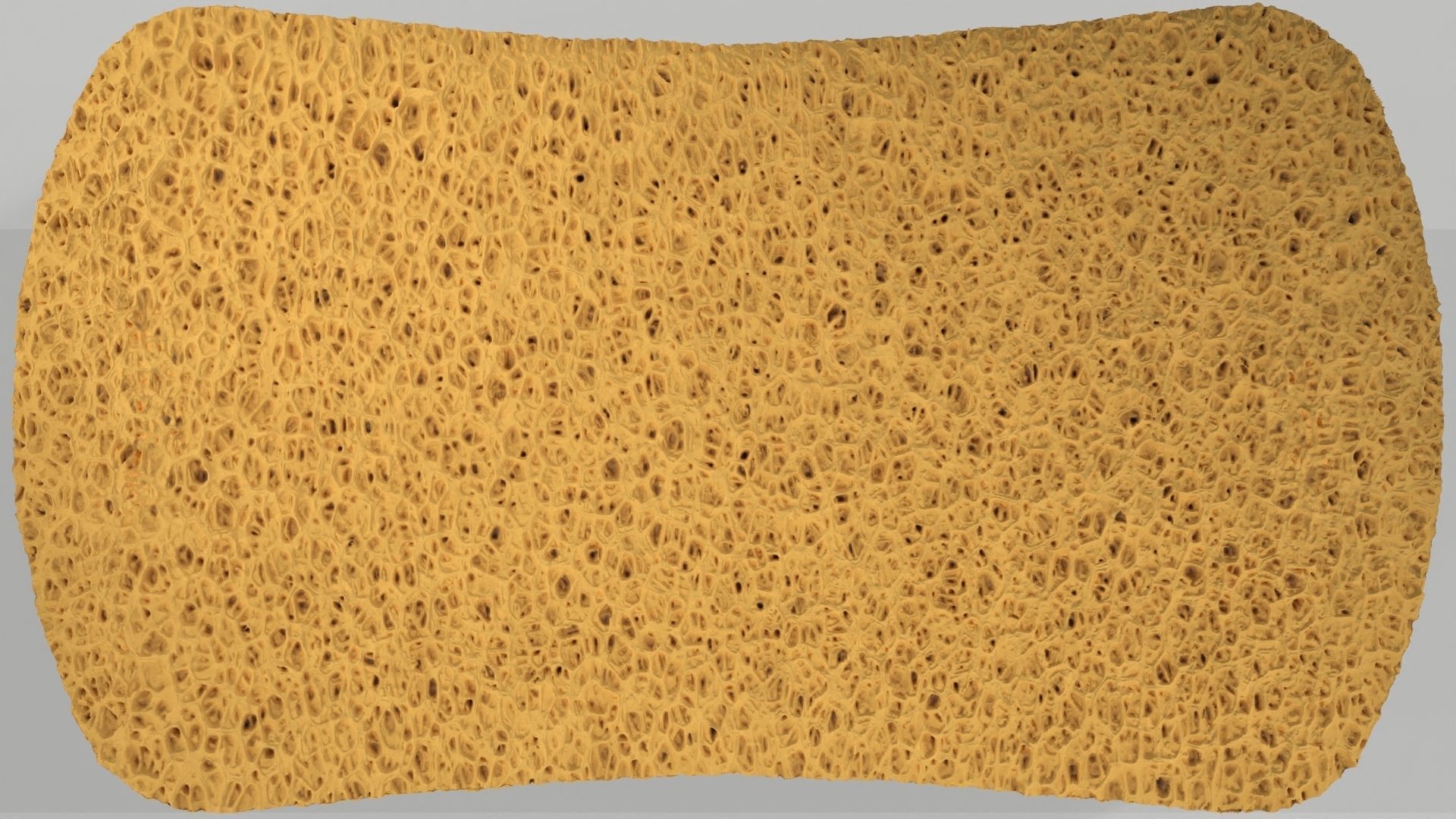 Yellow Sponge 3D model_5