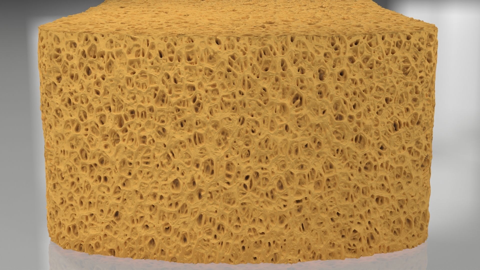 Yellow Sponge 3D model_6