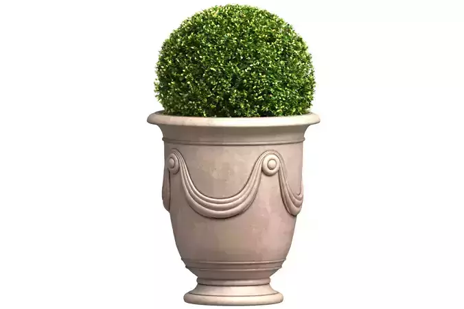 Boxwood in a Classic French Pot Front Entry Tree Patio Porch 