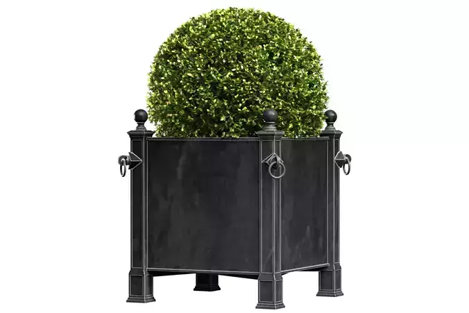 Modern Boxwood in the garden planter ArtDeco style Patio Porch 