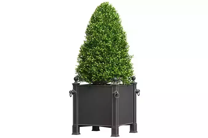 Modern Boxwood in the garden planter RH ArtDeco