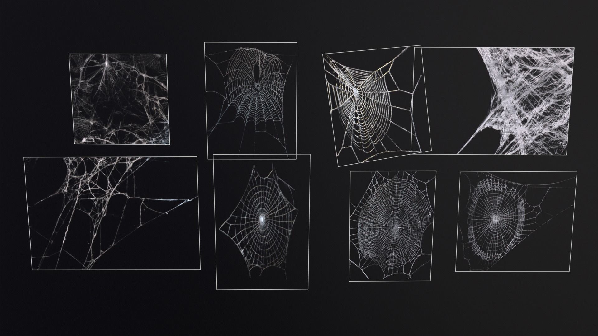 Spider Webs  Low-poly 3D model_3