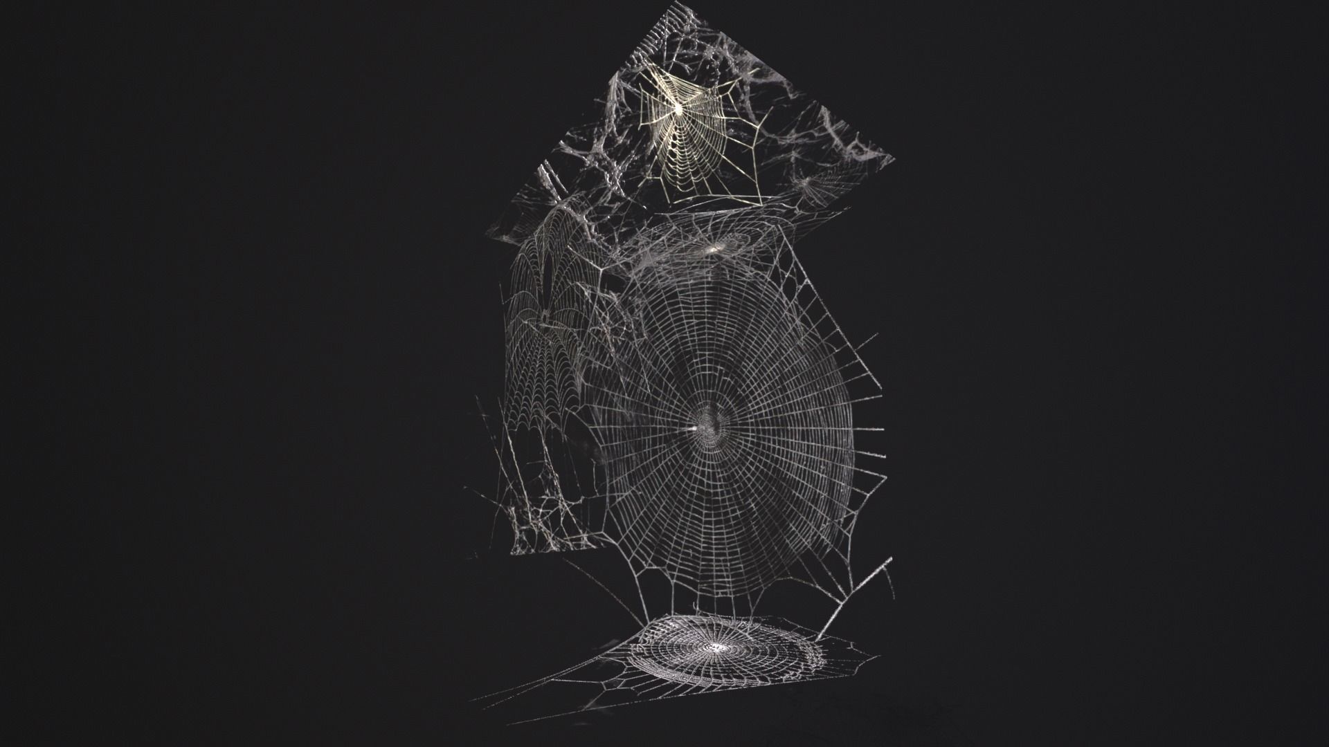 Spider Webs  Low-poly 3D model_12