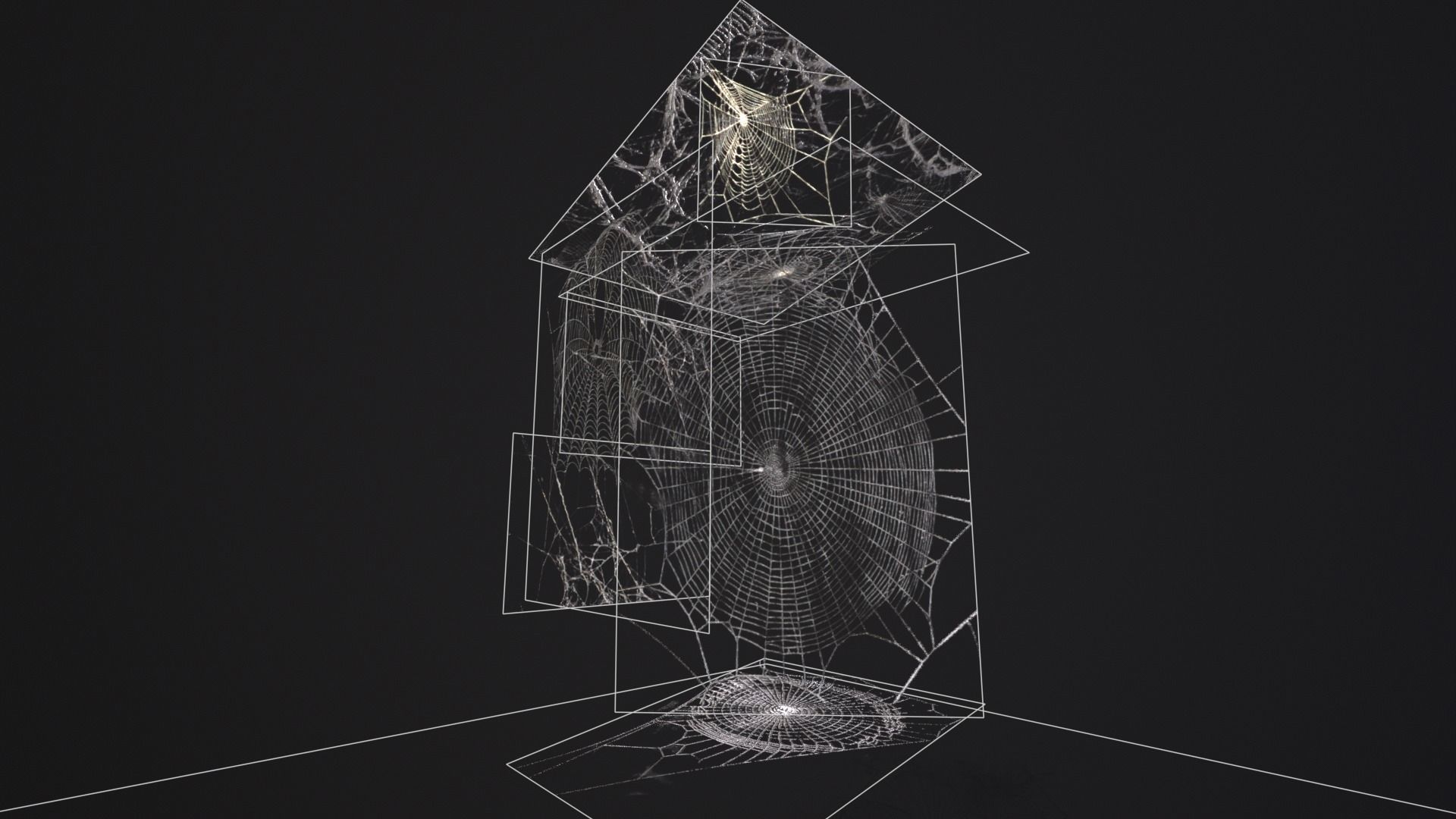 Spider Webs  Low-poly 3D model_13