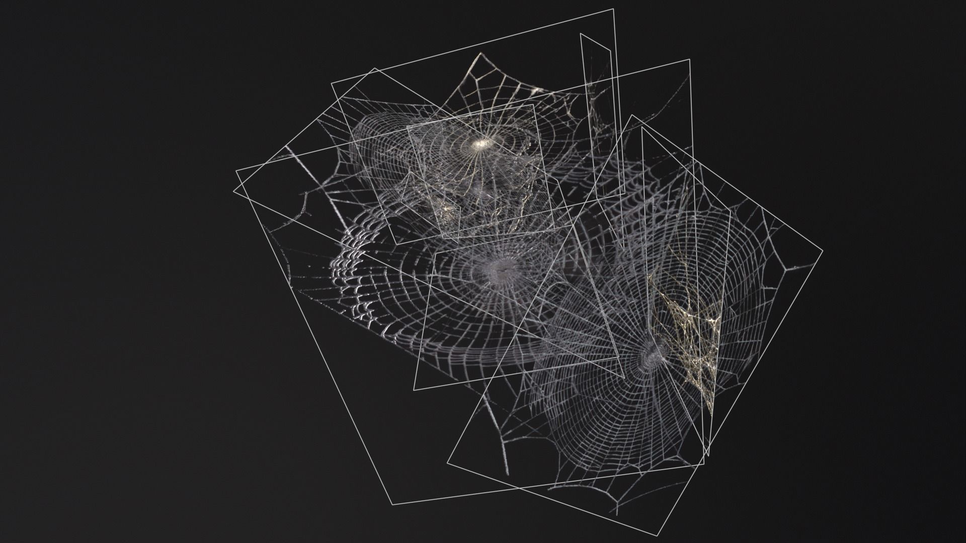 Spider Webs  Low-poly 3D model_11