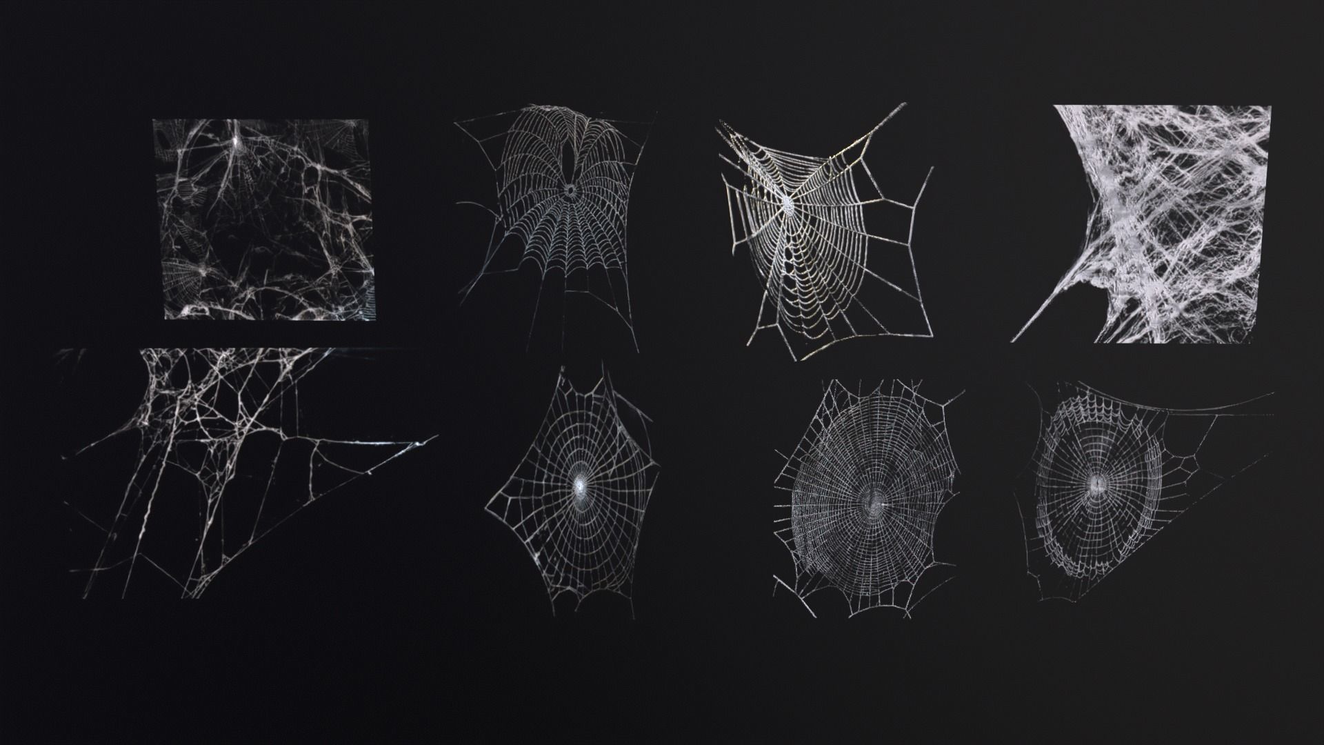 Spider Webs  Low-poly 3D model_2