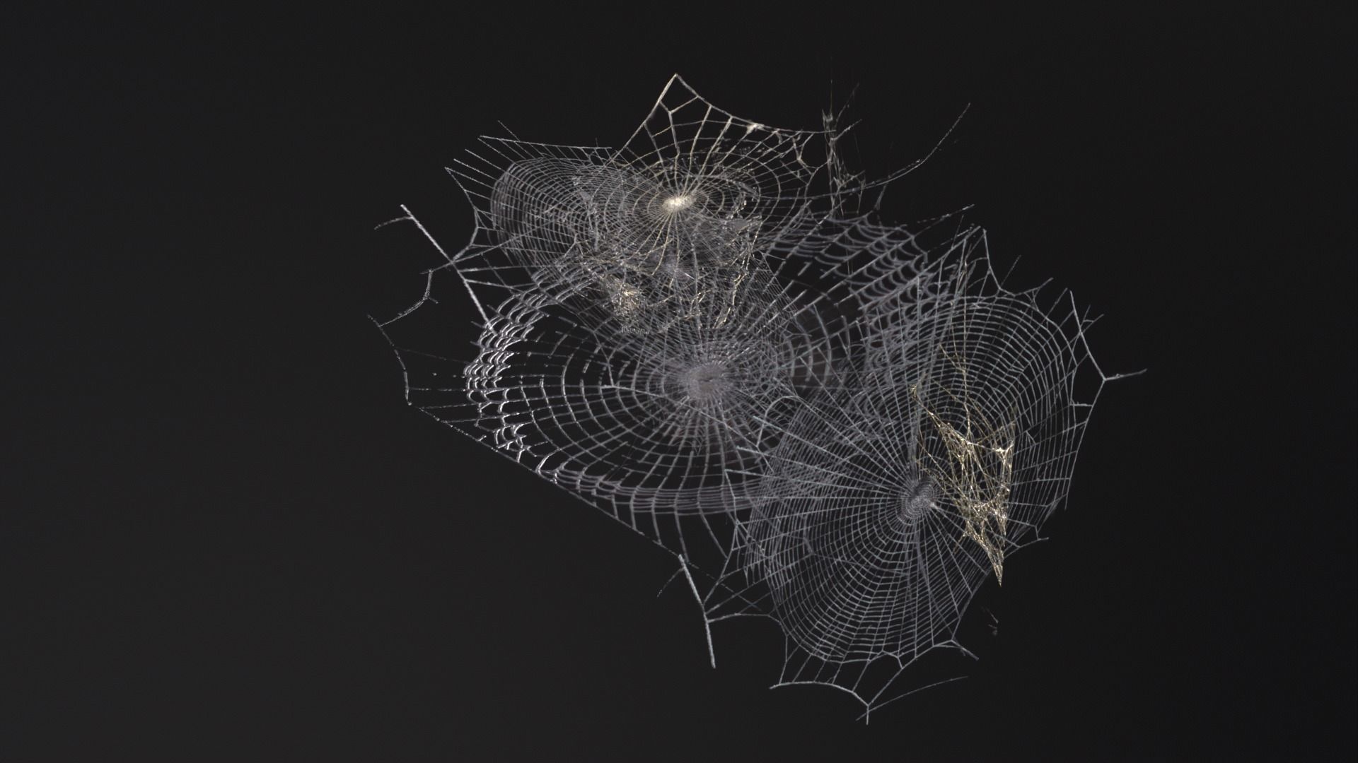 Spider Webs  Low-poly 3D model_10