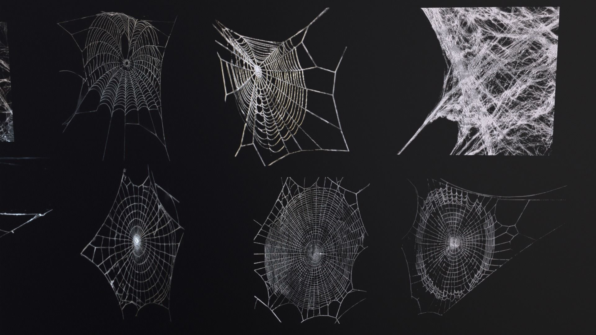 Spider Webs  Low-poly 3D model_18