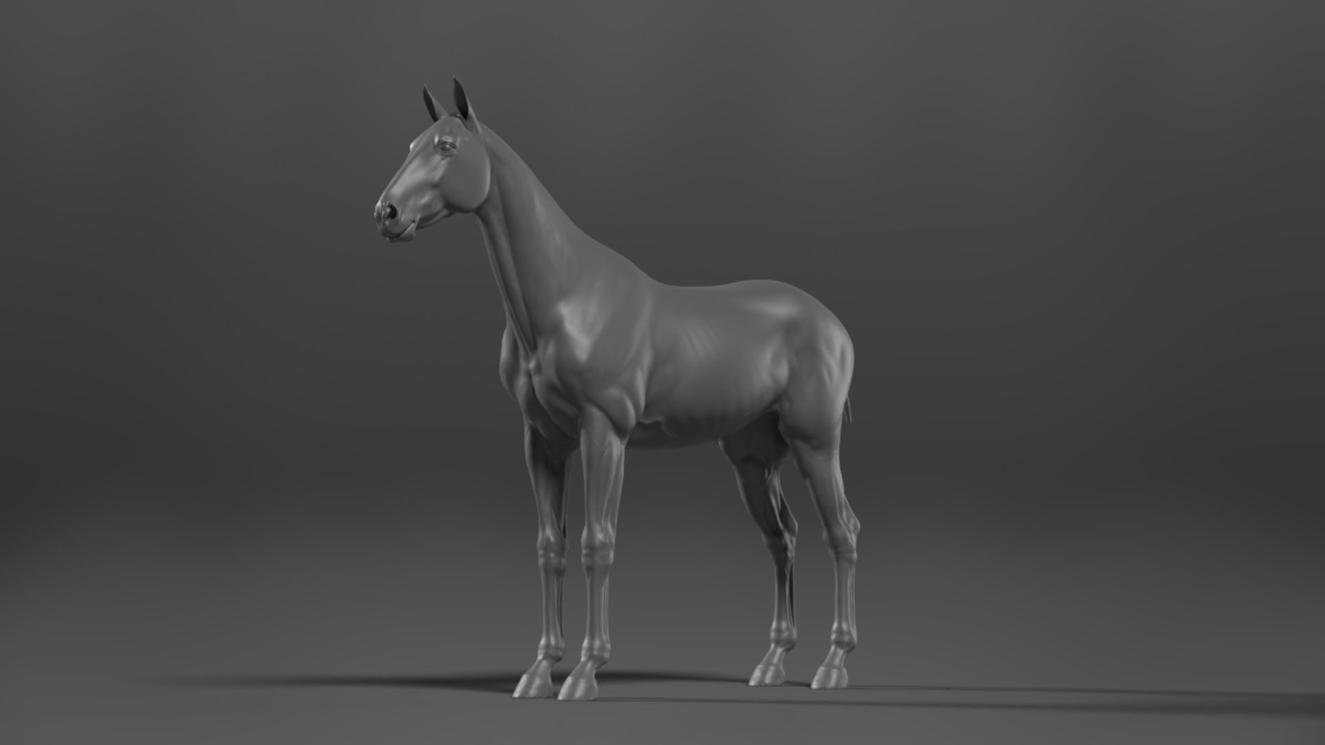 Brown Horse Animation   VFX Grace 3D model_13