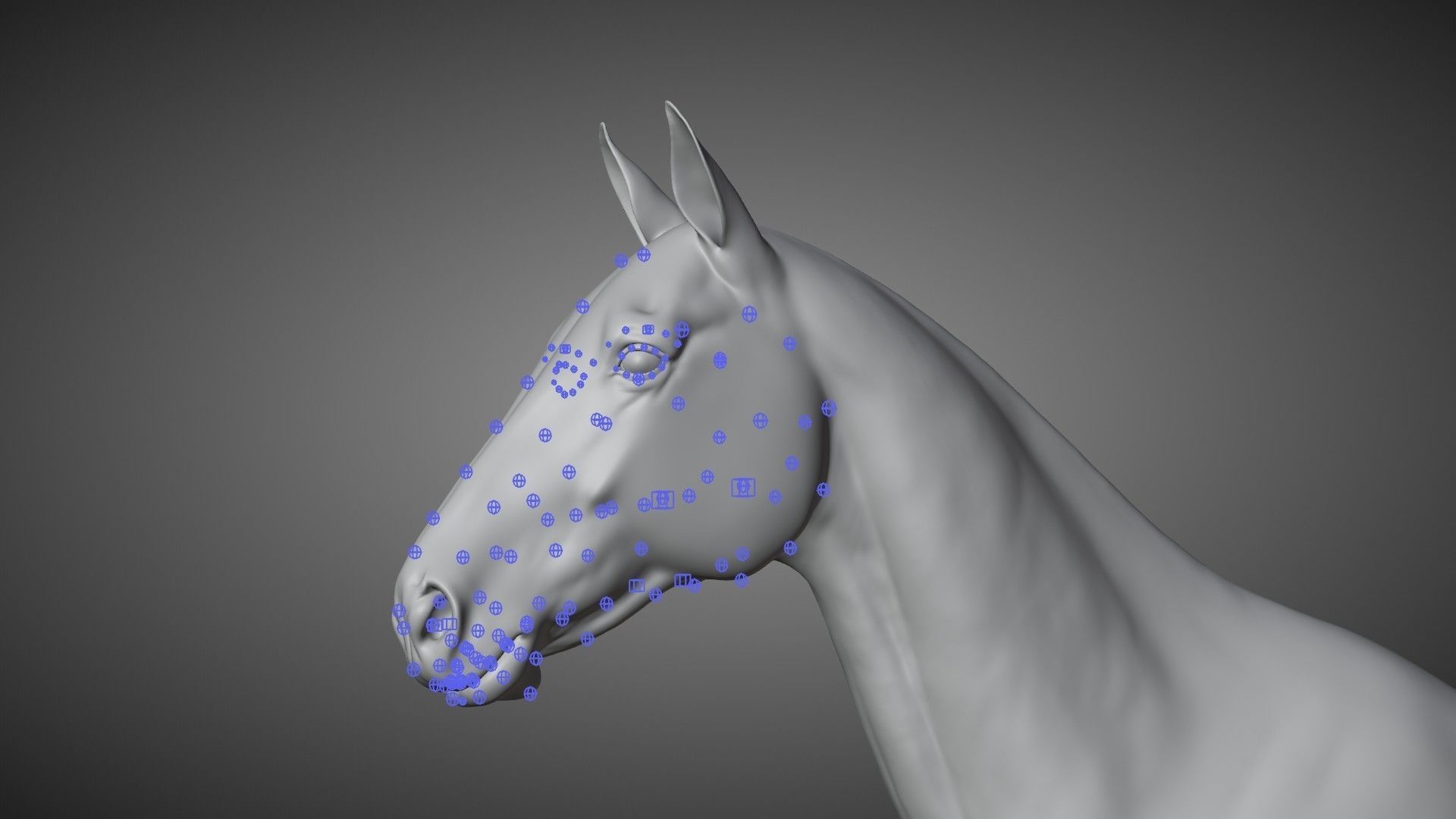 Brown Horse Animation   VFX Grace 3D model_20