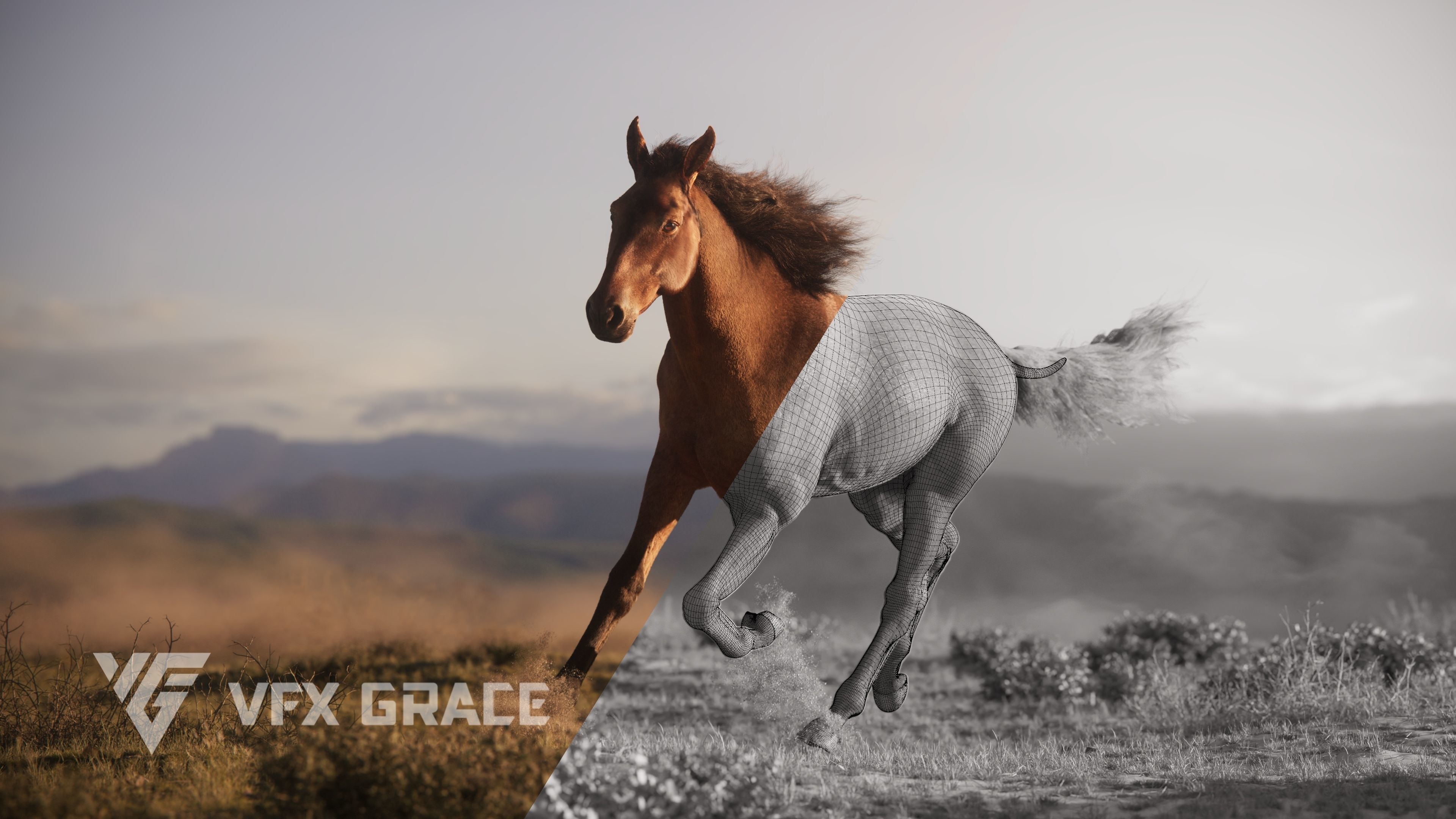 Brown Horse Animation   VFX Grace 3D model_6