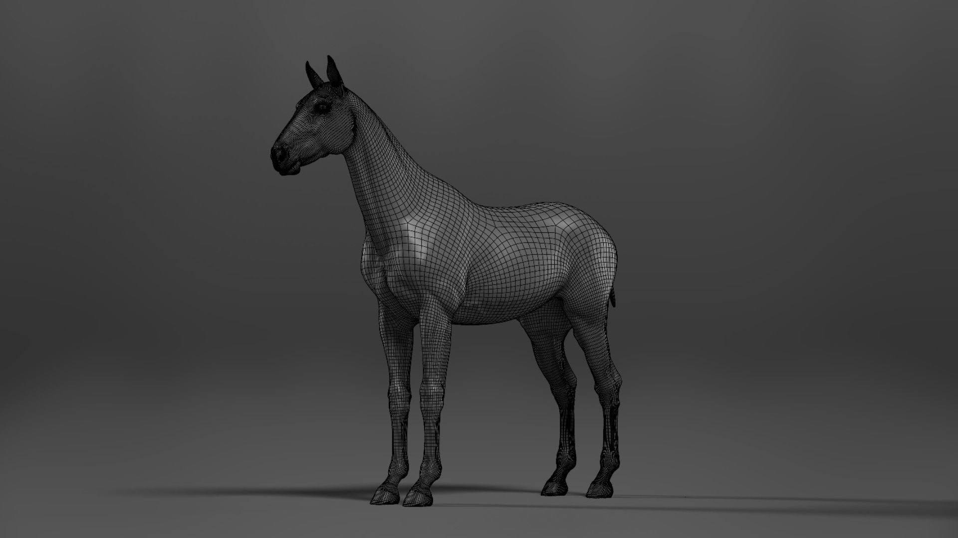 Brown Horse Animation   VFX Grace 3D model_26
