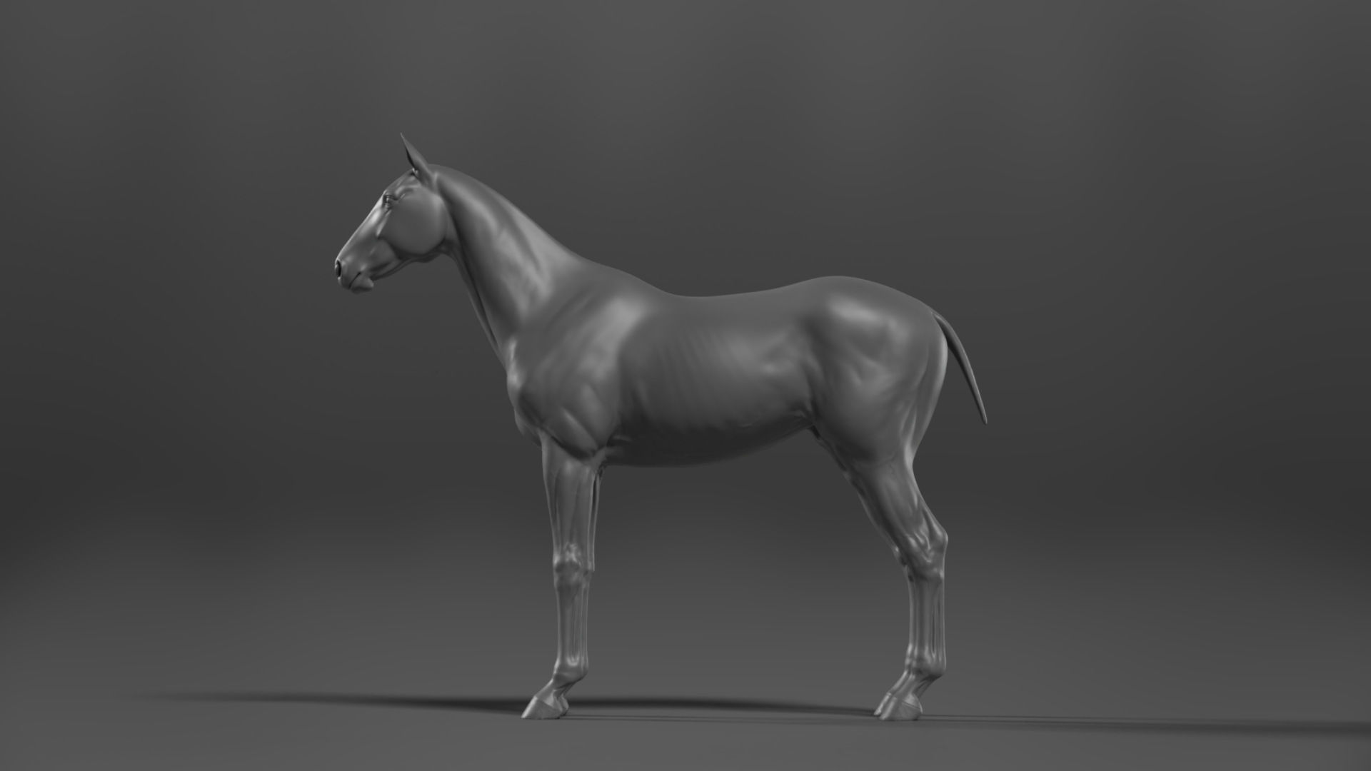 Brown Horse Animation   VFX Grace 3D model_14