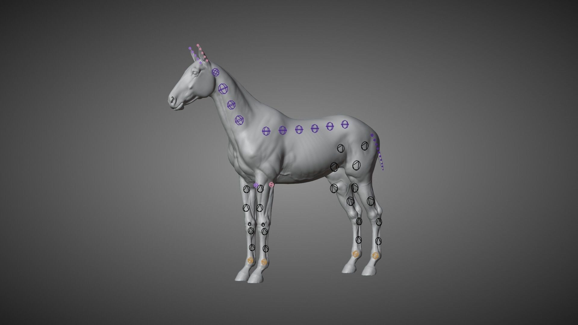 Brown Horse Animation   VFX Grace 3D model_19