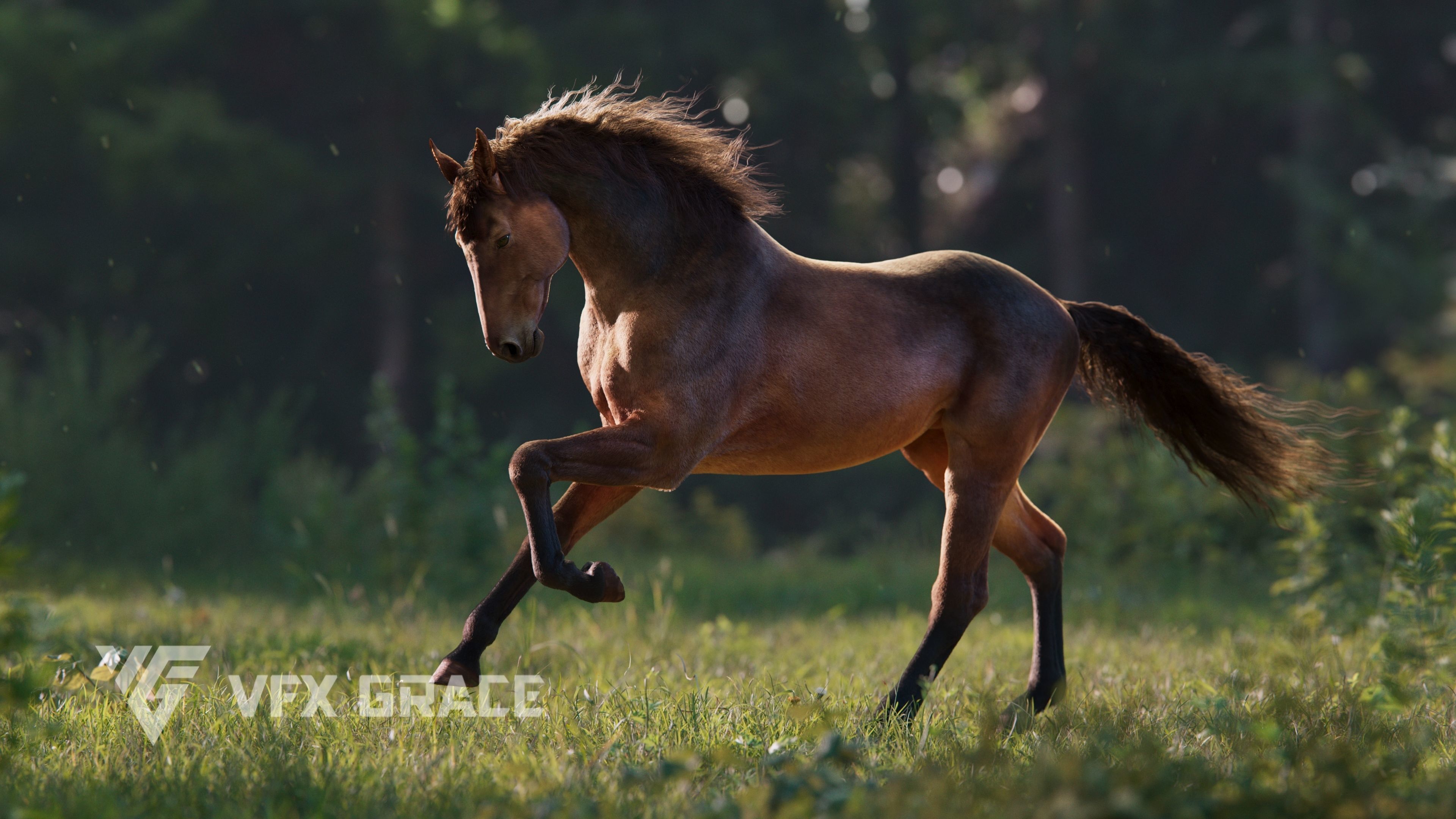 Brown Horse Animation   VFX Grace 3D model_3