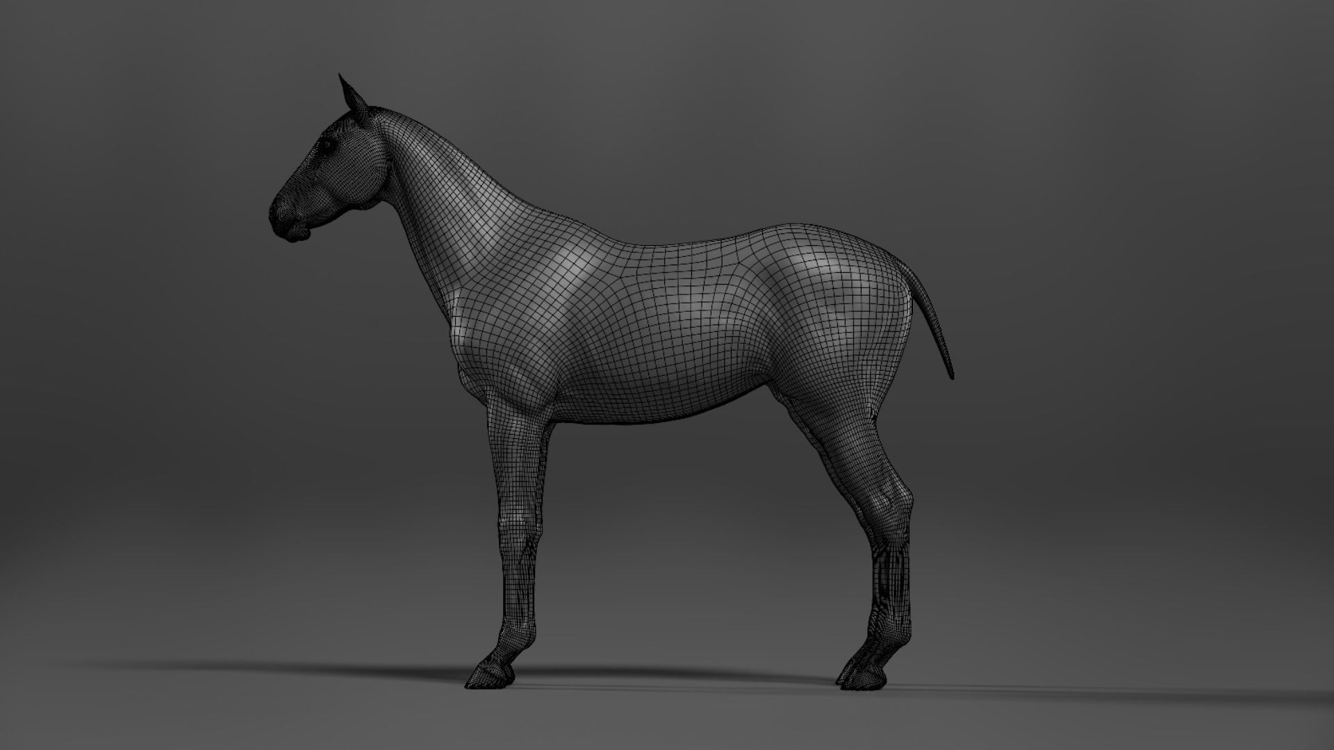 Brown Horse Animation   VFX Grace 3D model_27