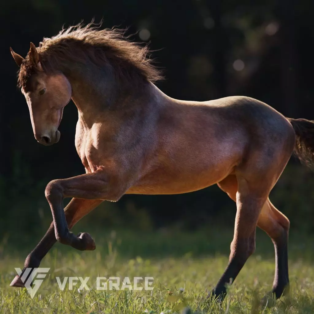 Brown Horse Animation   VFX Grace 3D model_0