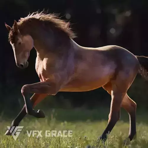 Brown Horse Animation   VFX Grace 3D model