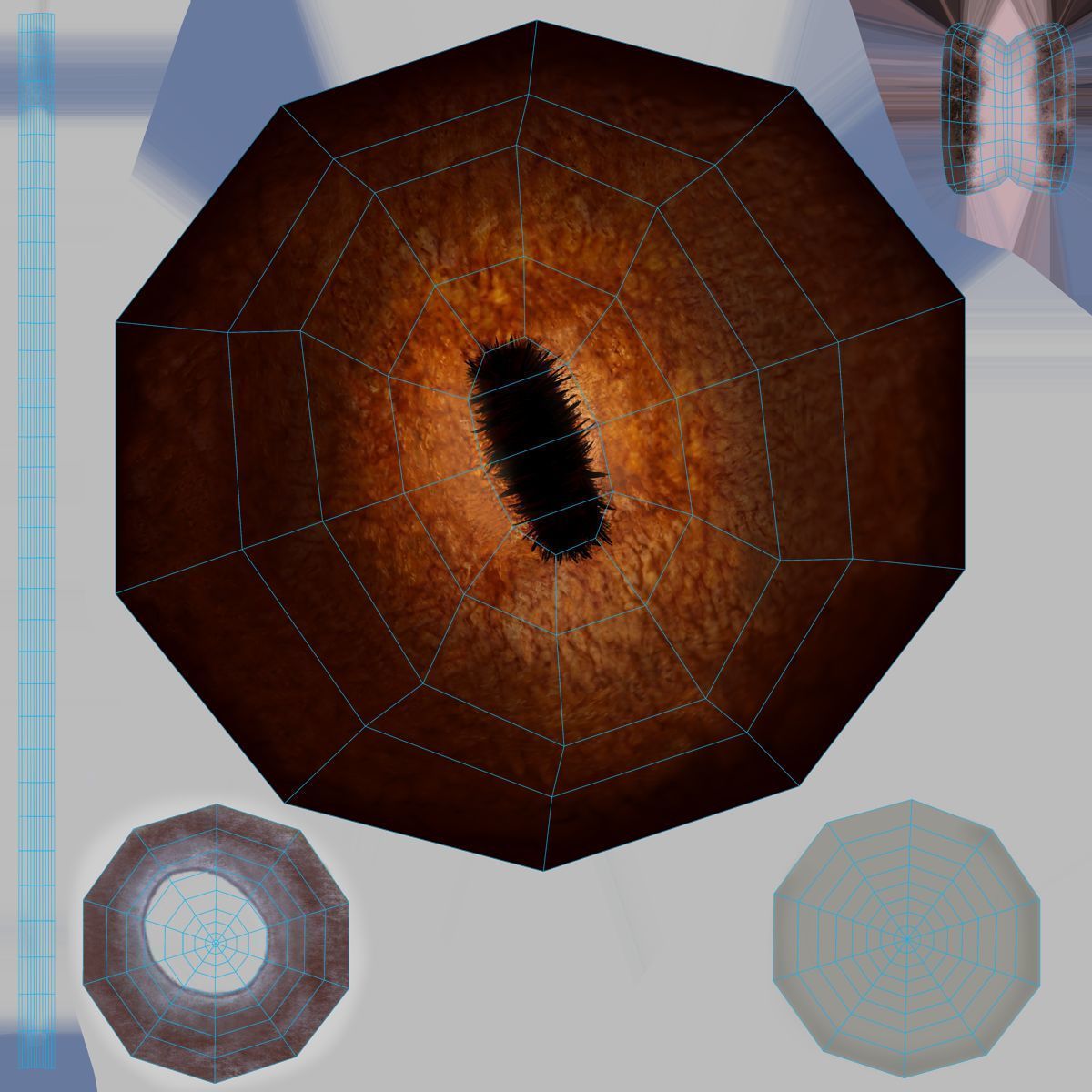 Brown Horse Animation   VFX Grace 3D model_24