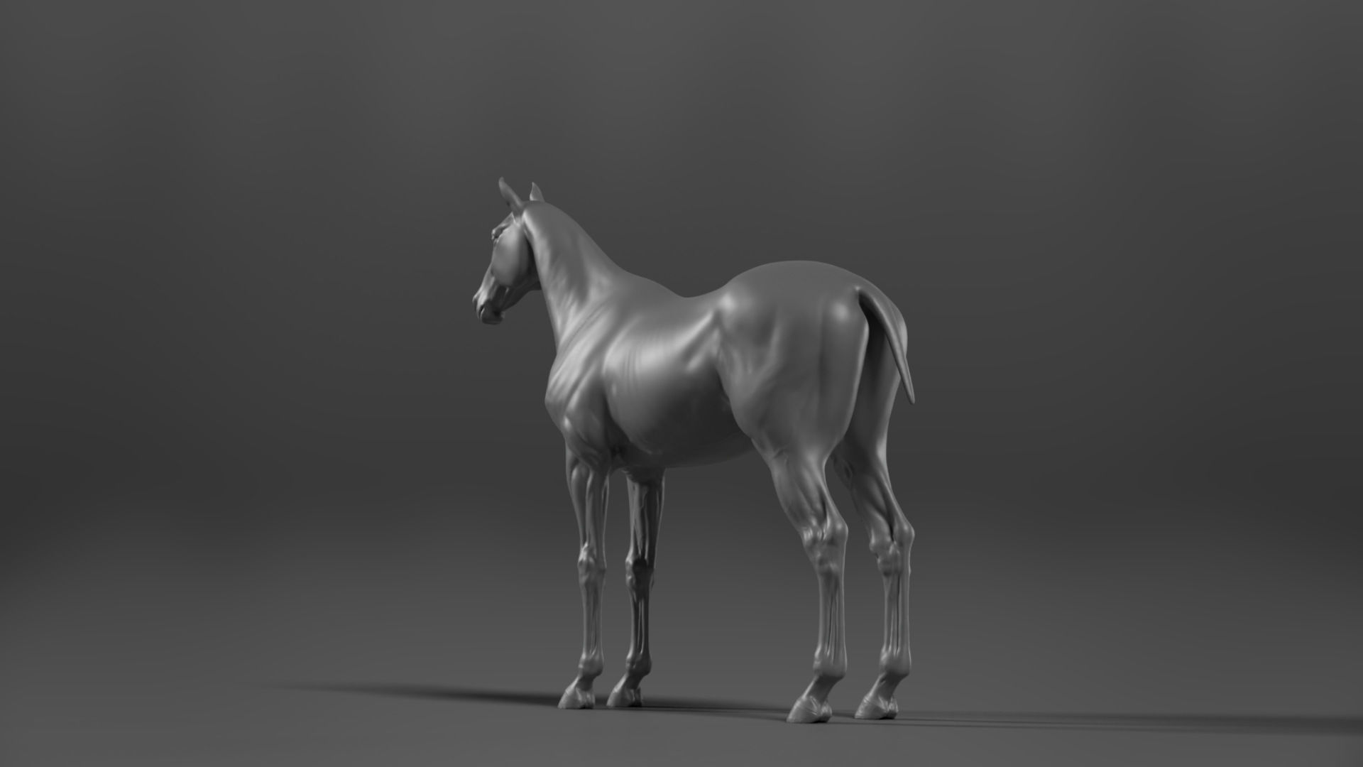 Brown Horse Animation   VFX Grace 3D model_15