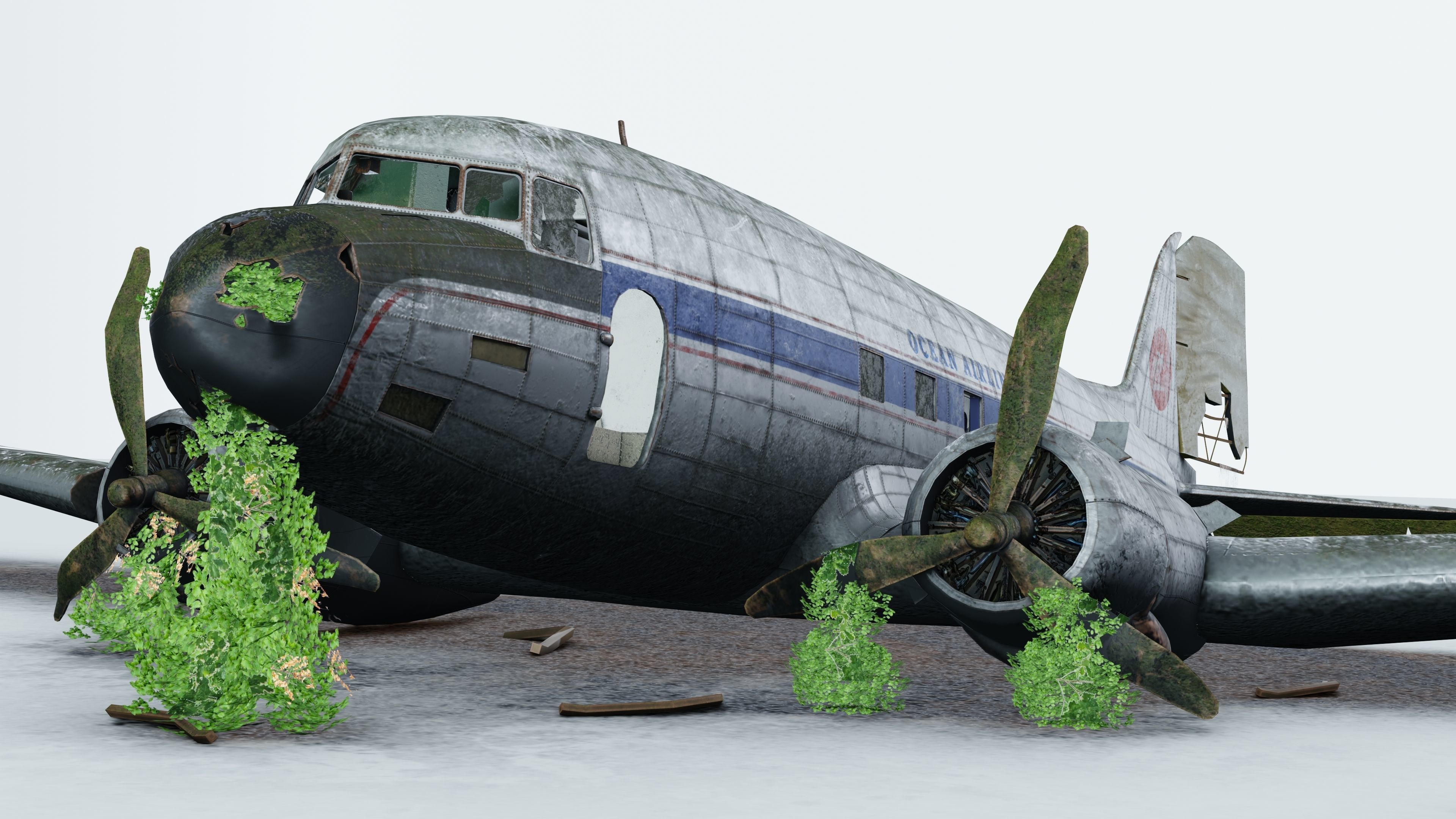 Wrecked Airplane with interior Low-poly 3D model_19