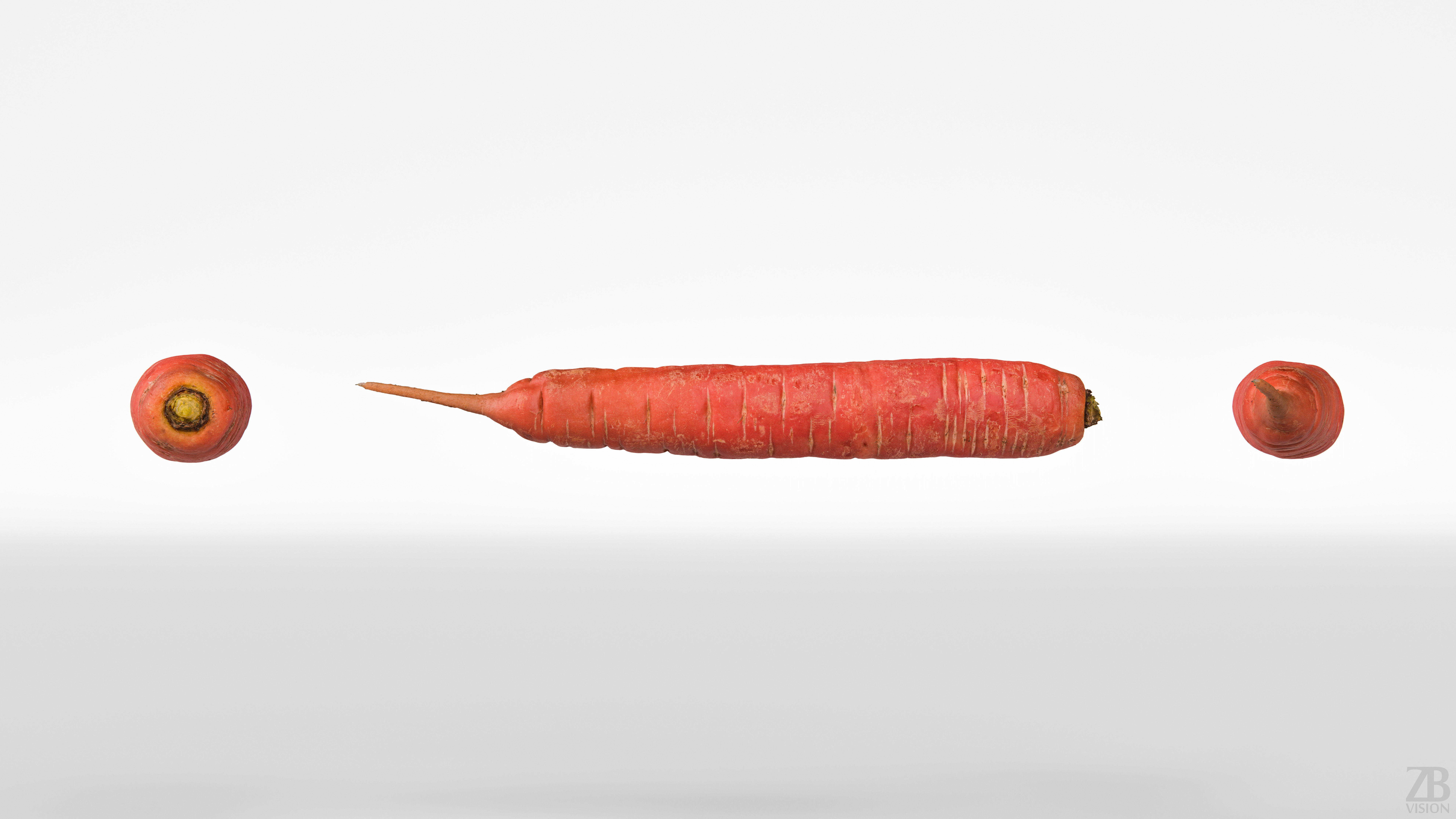 Carrot 3D model_4