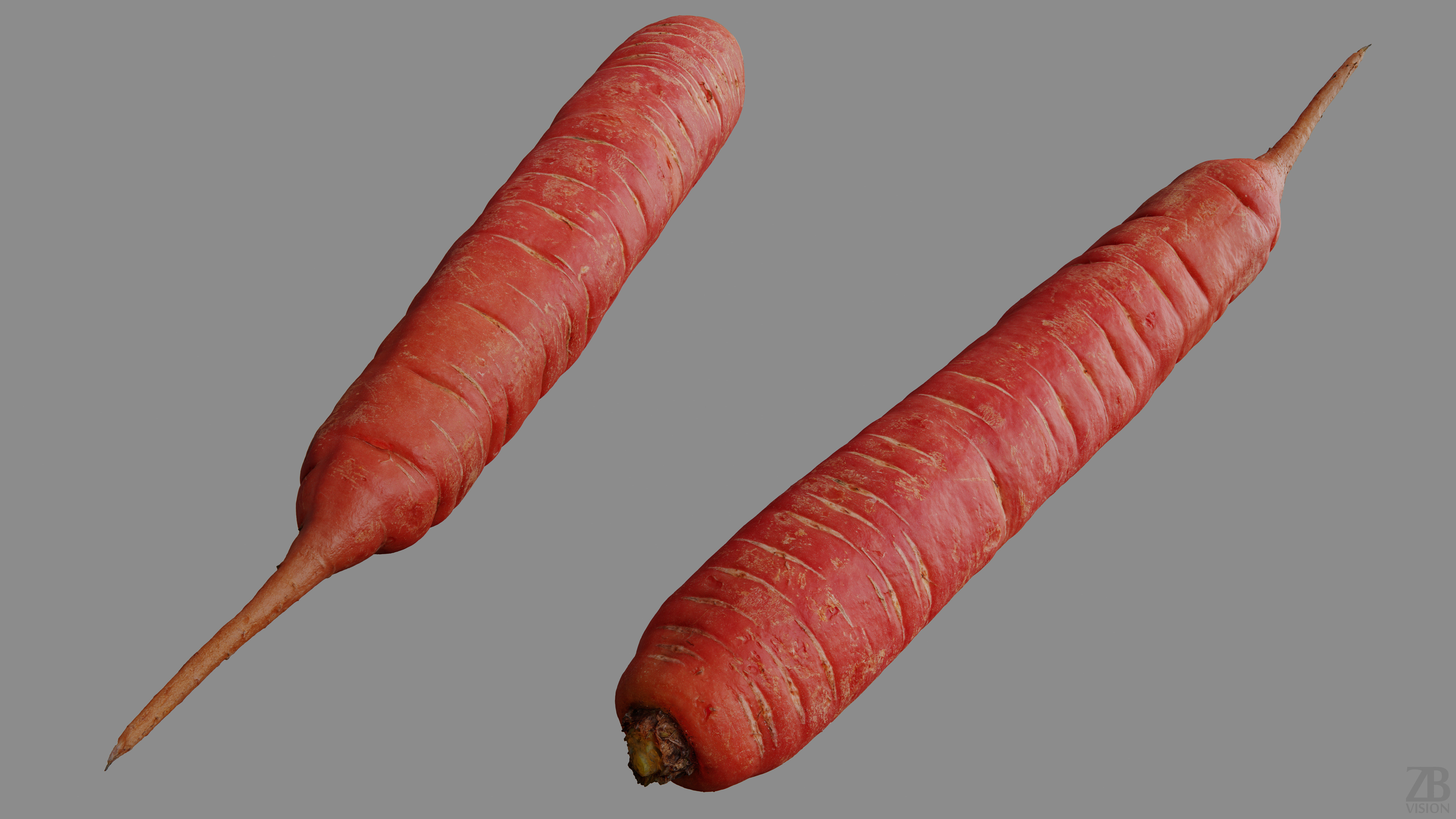 Carrot 3D model_9