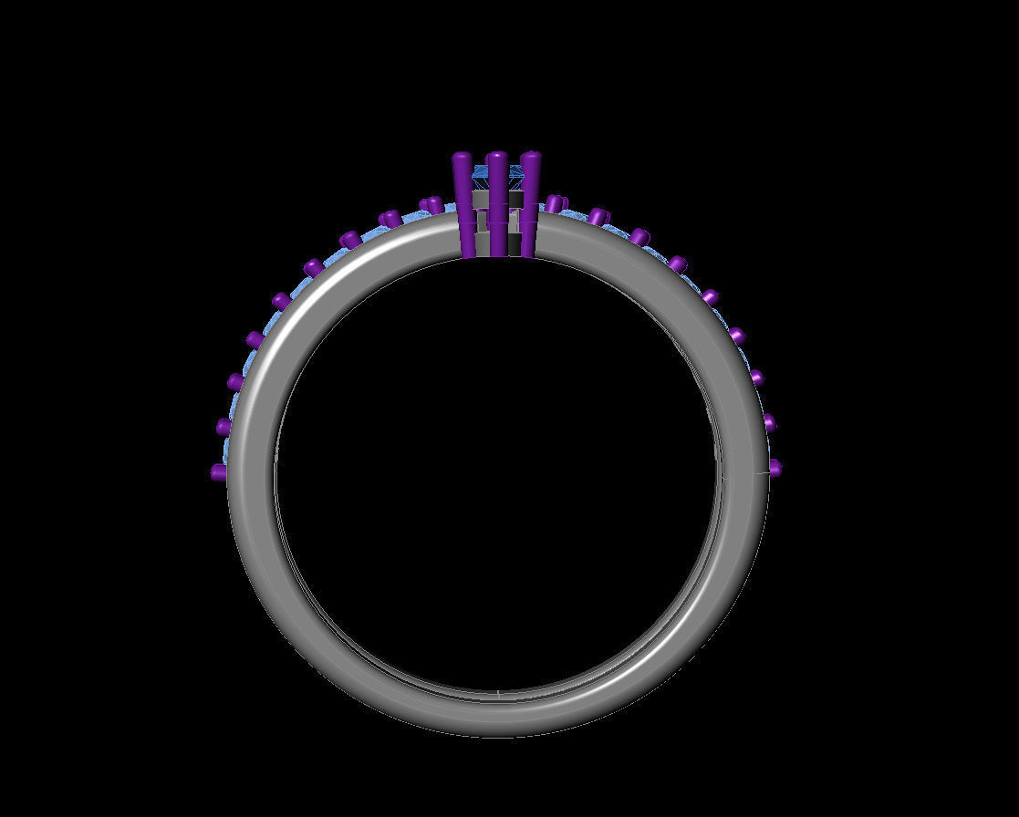 Marquies  Rind 3D print model_14