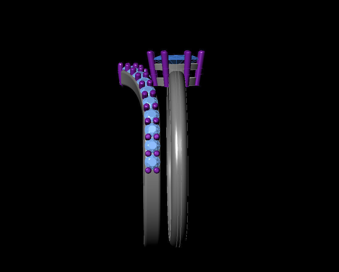 Marquies  Rind 3D print model_10