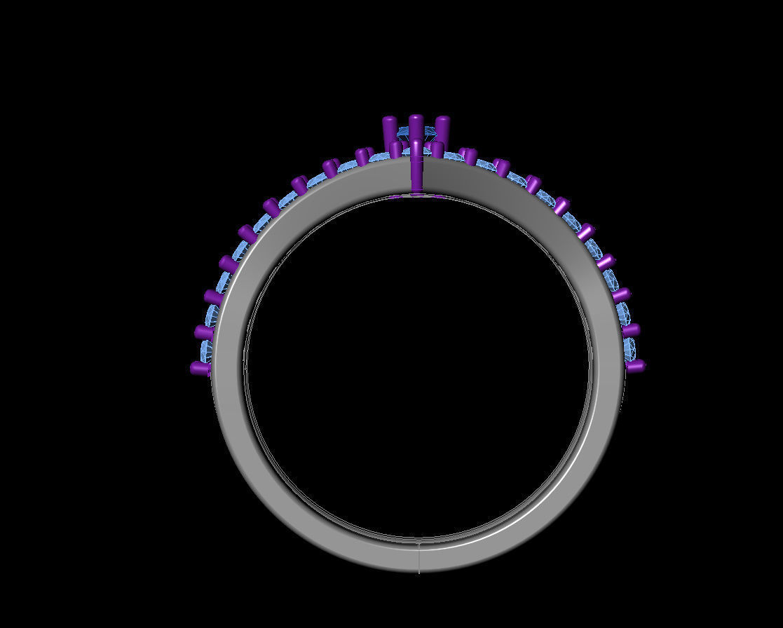 Marquies  Rind 3D print model_9