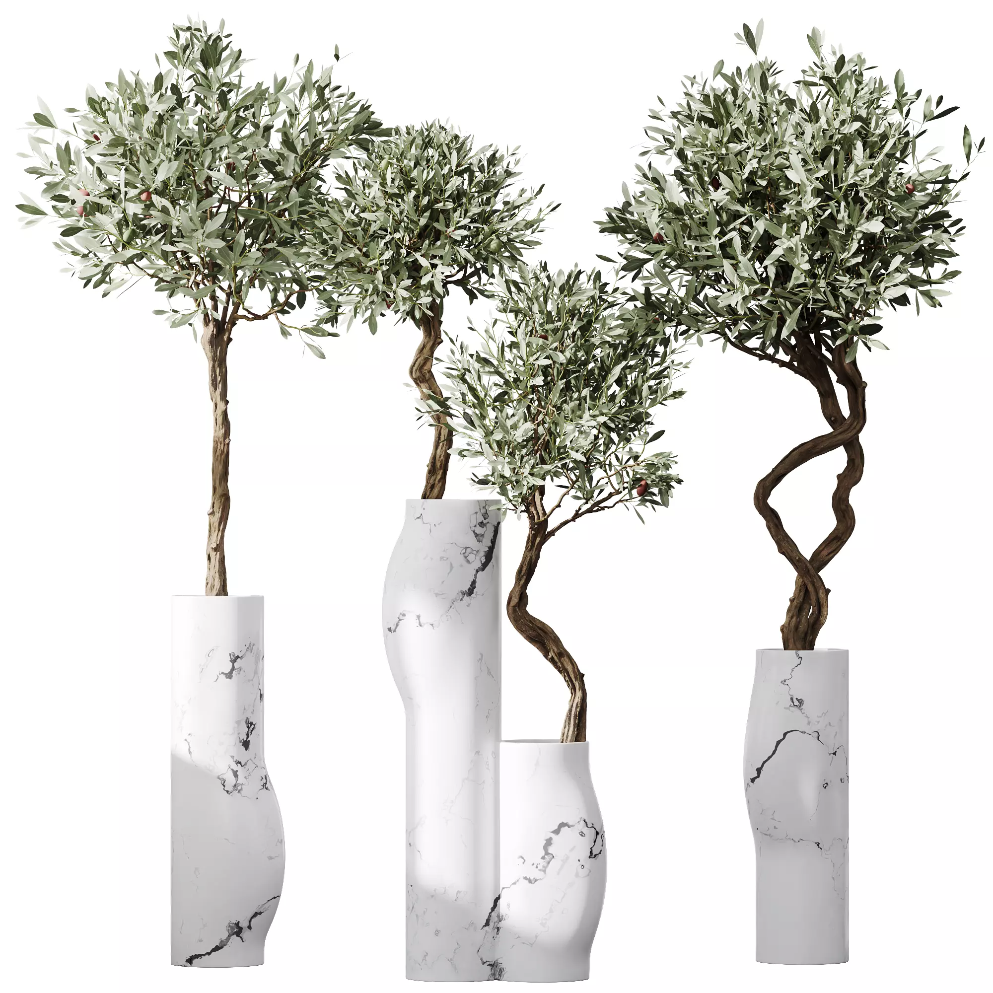 HQ Plants Mission Olive Tree Indoor Vase Set003 3D model_0
