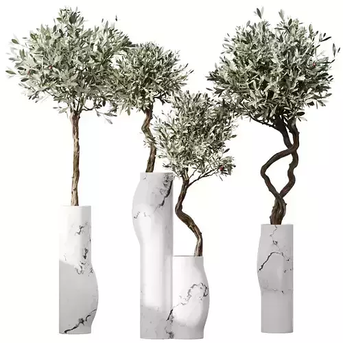HQ Plants Mission Olive Tree Indoor Vase Set003 3D model